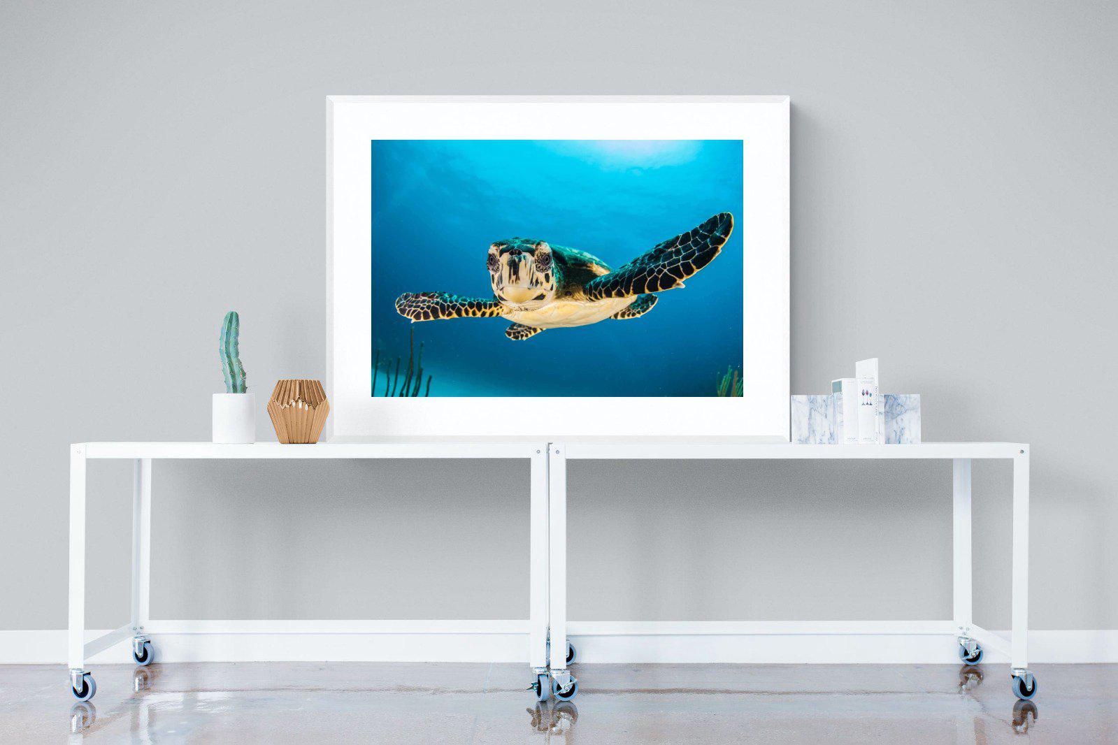 Baby Turtle-Wall_Art-120 x 90cm-Framed Print-White-Pixalot