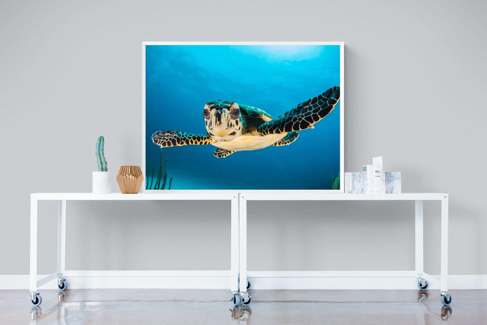 Baby Turtle-Wall_Art-120 x 90cm-Mounted Canvas-White-Pixalot