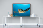 Baby Turtle-Wall_Art-120 x 90cm-Mounted Canvas-Black-Pixalot