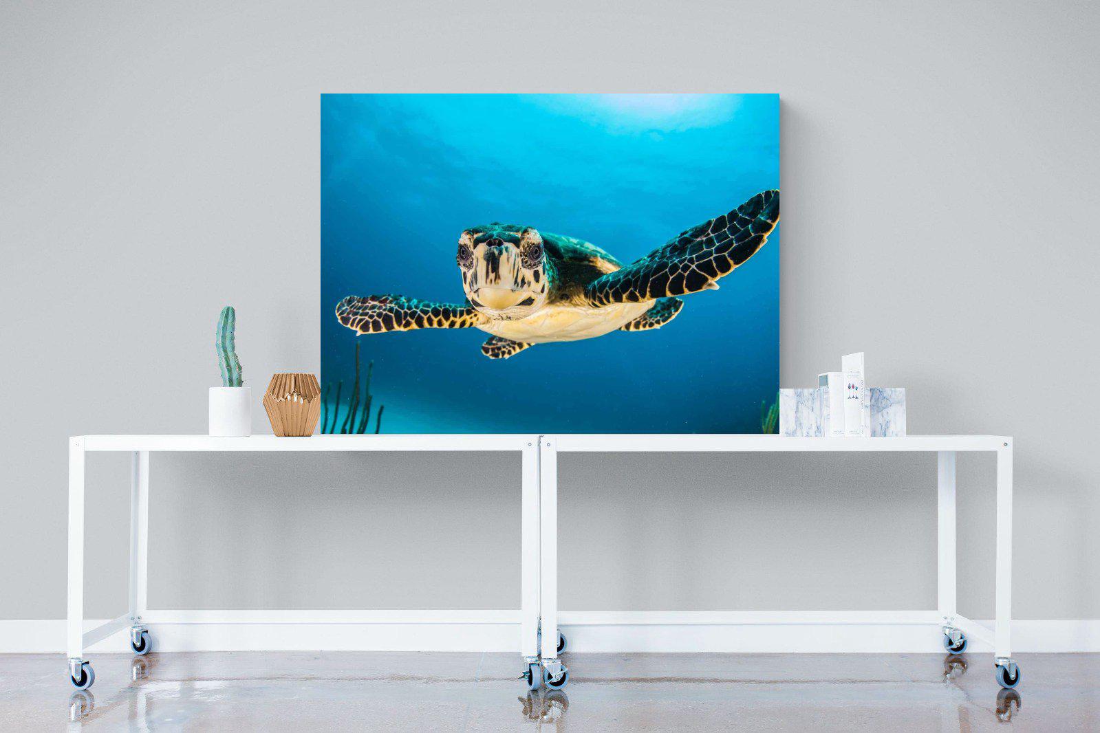 Baby Turtle-Wall_Art-120 x 90cm-Mounted Canvas-No Frame-Pixalot