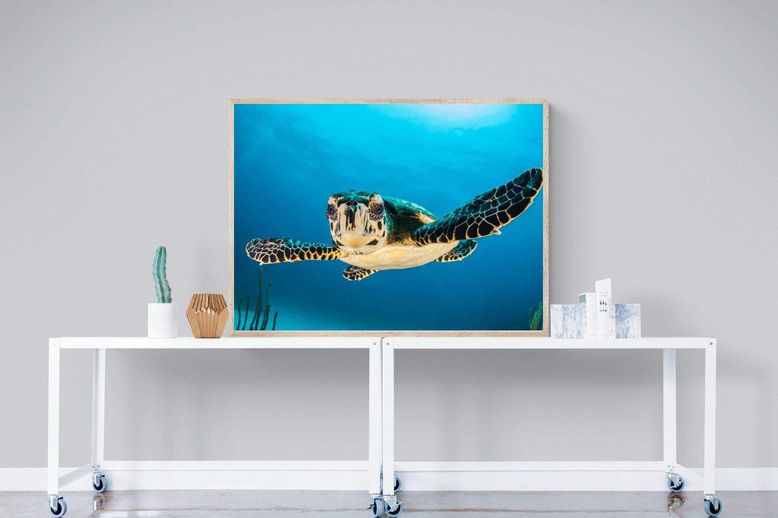 Baby Turtle-Wall_Art-120 x 90cm-Mounted Canvas-Wood-Pixalot