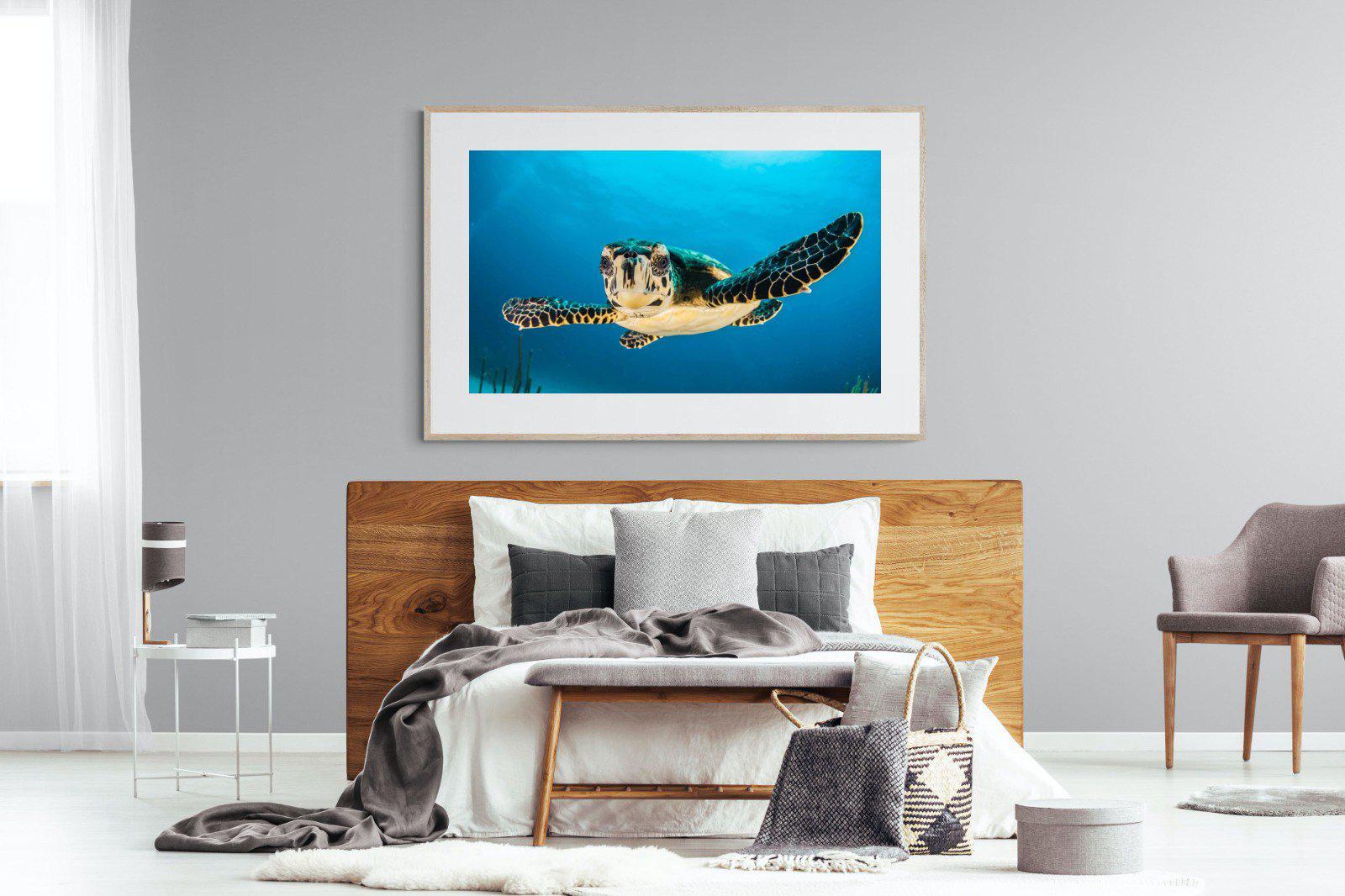 Baby Turtle-Wall_Art-150 x 100cm-Framed Print-Wood-Pixalot