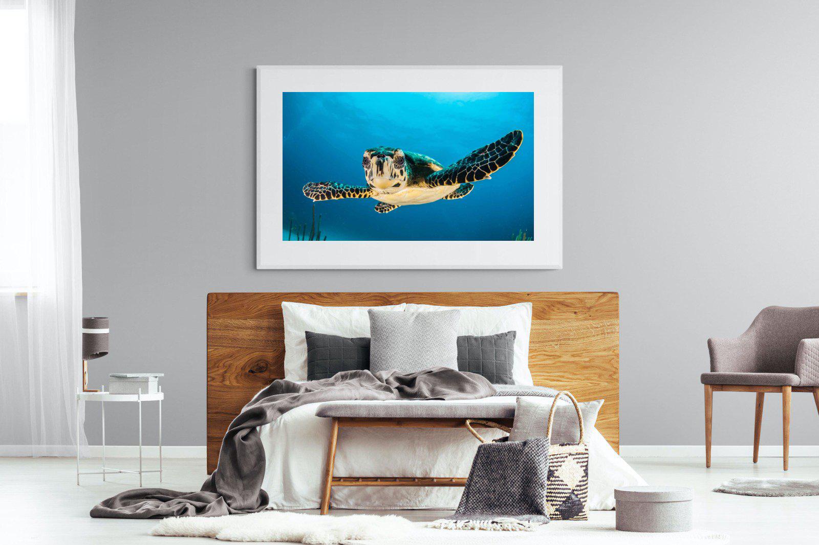 Baby Turtle-Wall_Art-150 x 100cm-Framed Print-White-Pixalot