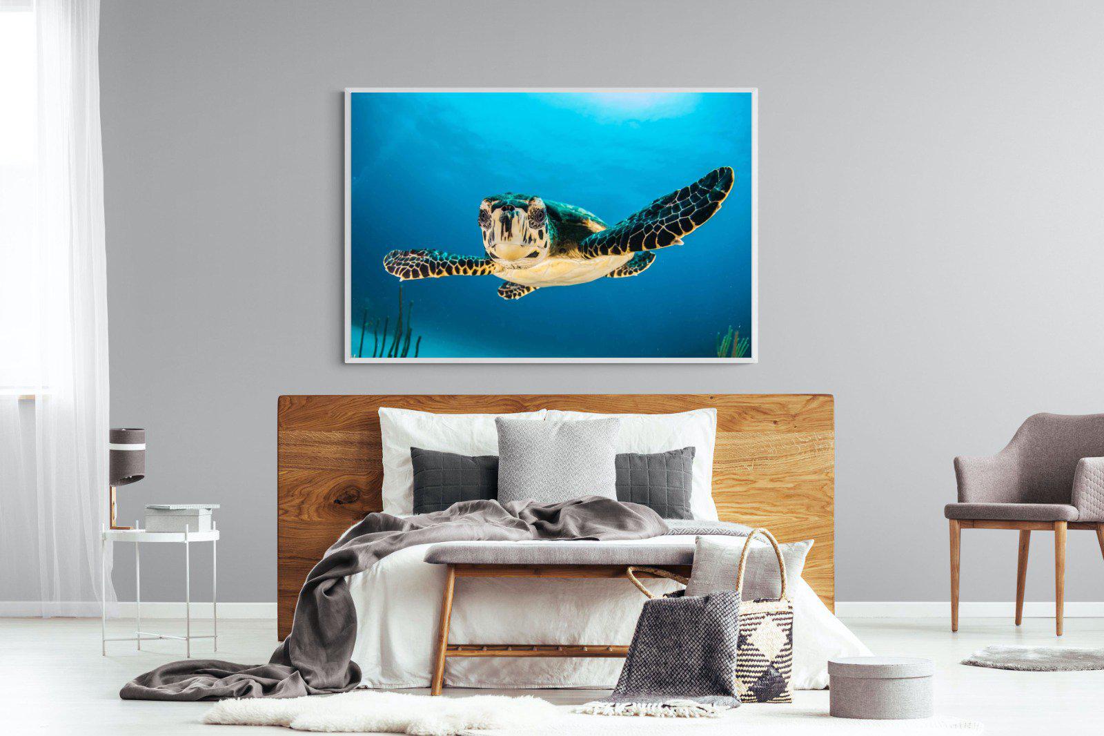 Baby Turtle-Wall_Art-150 x 100cm-Mounted Canvas-White-Pixalot