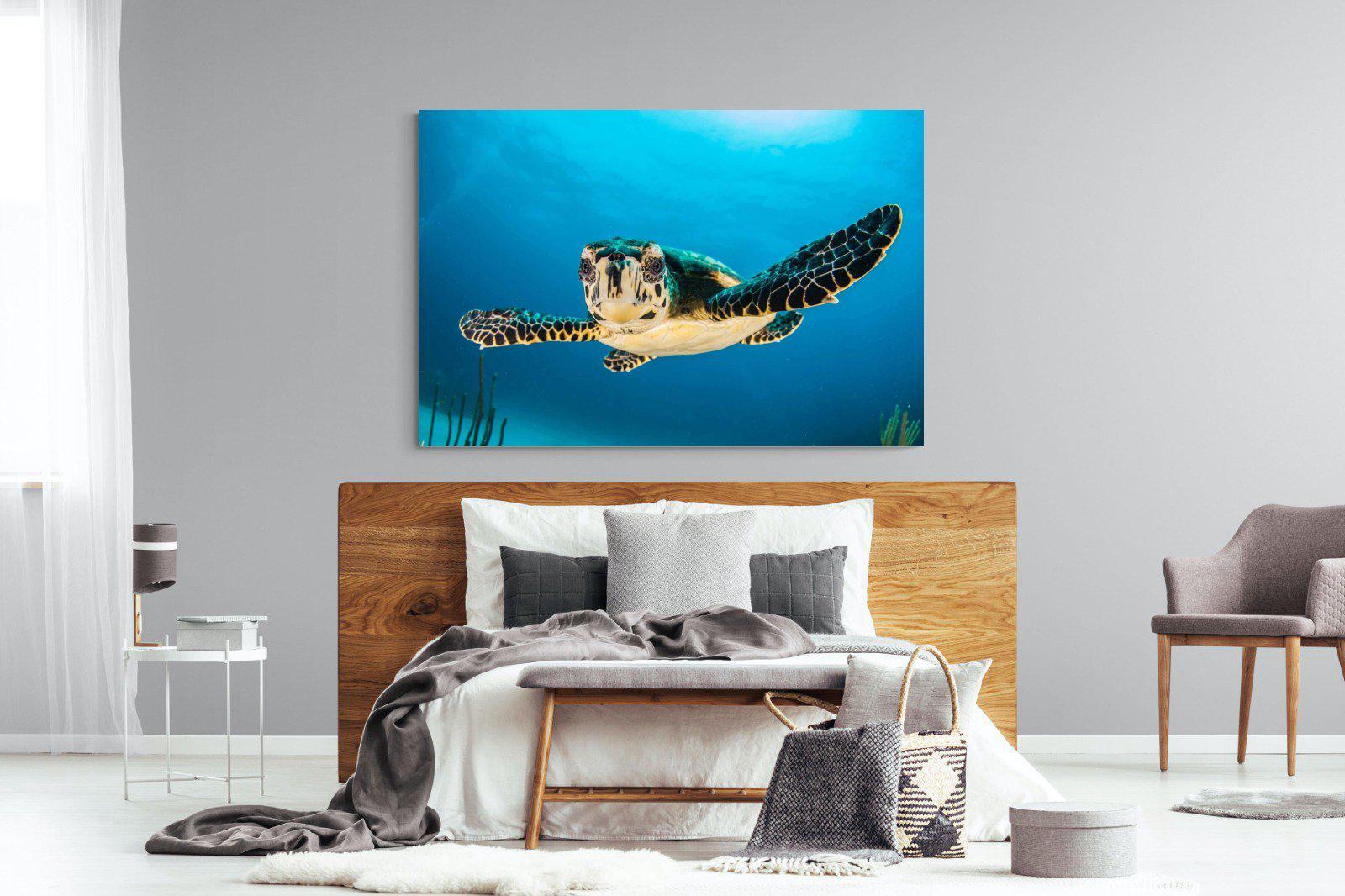 Baby Turtle-Wall_Art-150 x 100cm-Mounted Canvas-No Frame-Pixalot