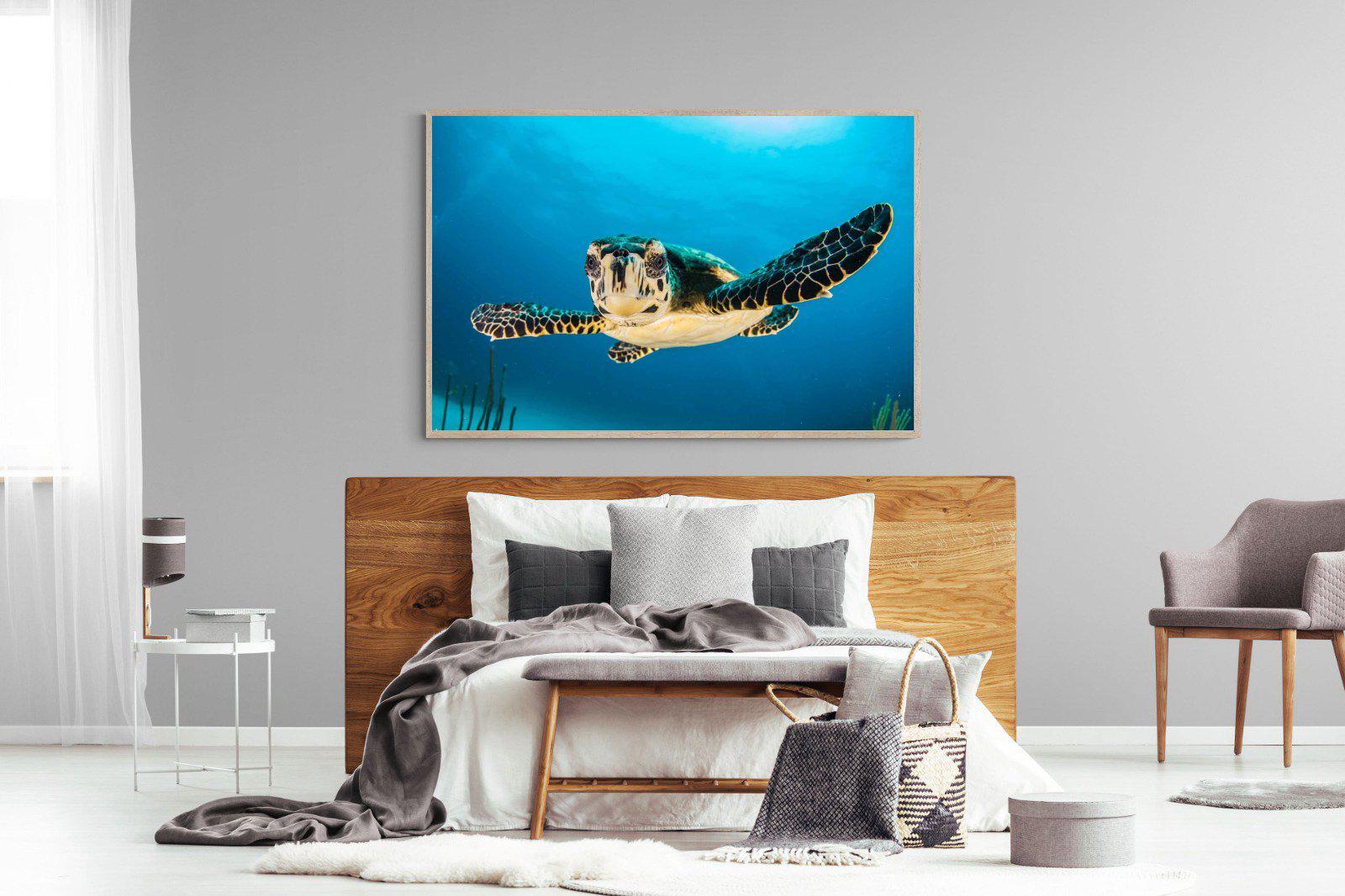 Baby Turtle-Wall_Art-150 x 100cm-Mounted Canvas-Wood-Pixalot