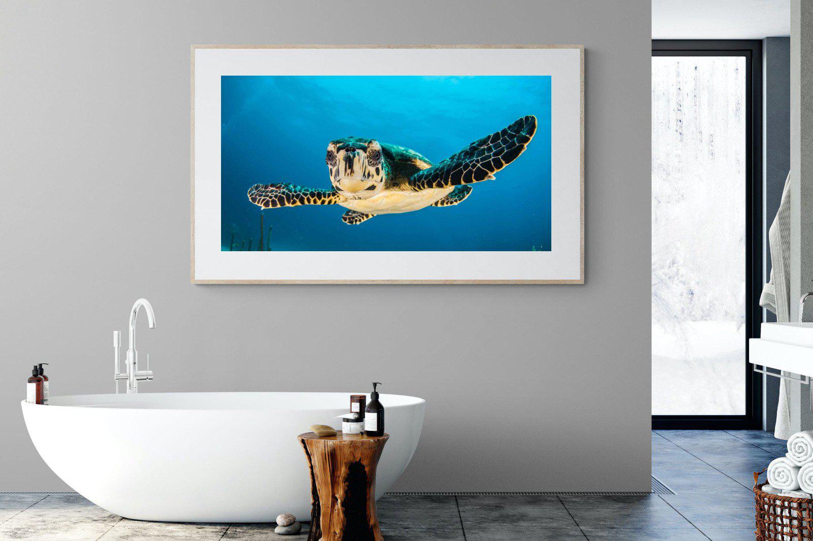 Baby Turtle-Wall_Art-180 x 110cm-Framed Print-Wood-Pixalot