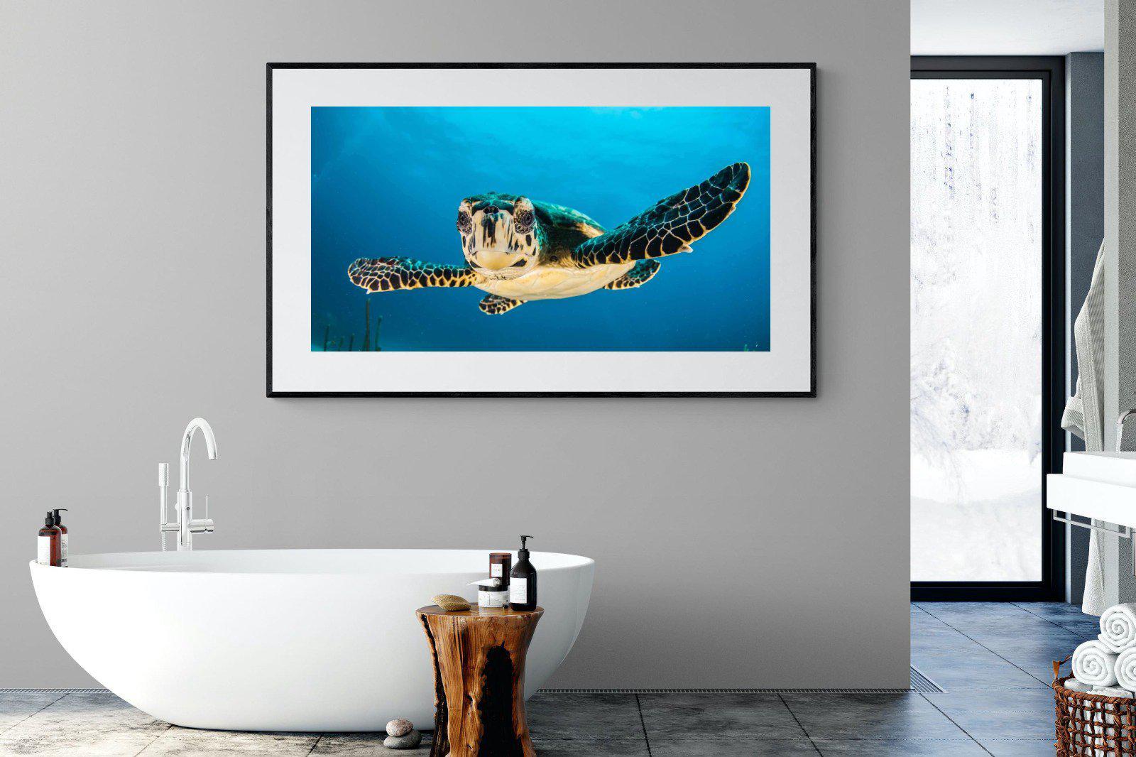 Baby Turtle-Wall_Art-180 x 110cm-Framed Print-Black-Pixalot