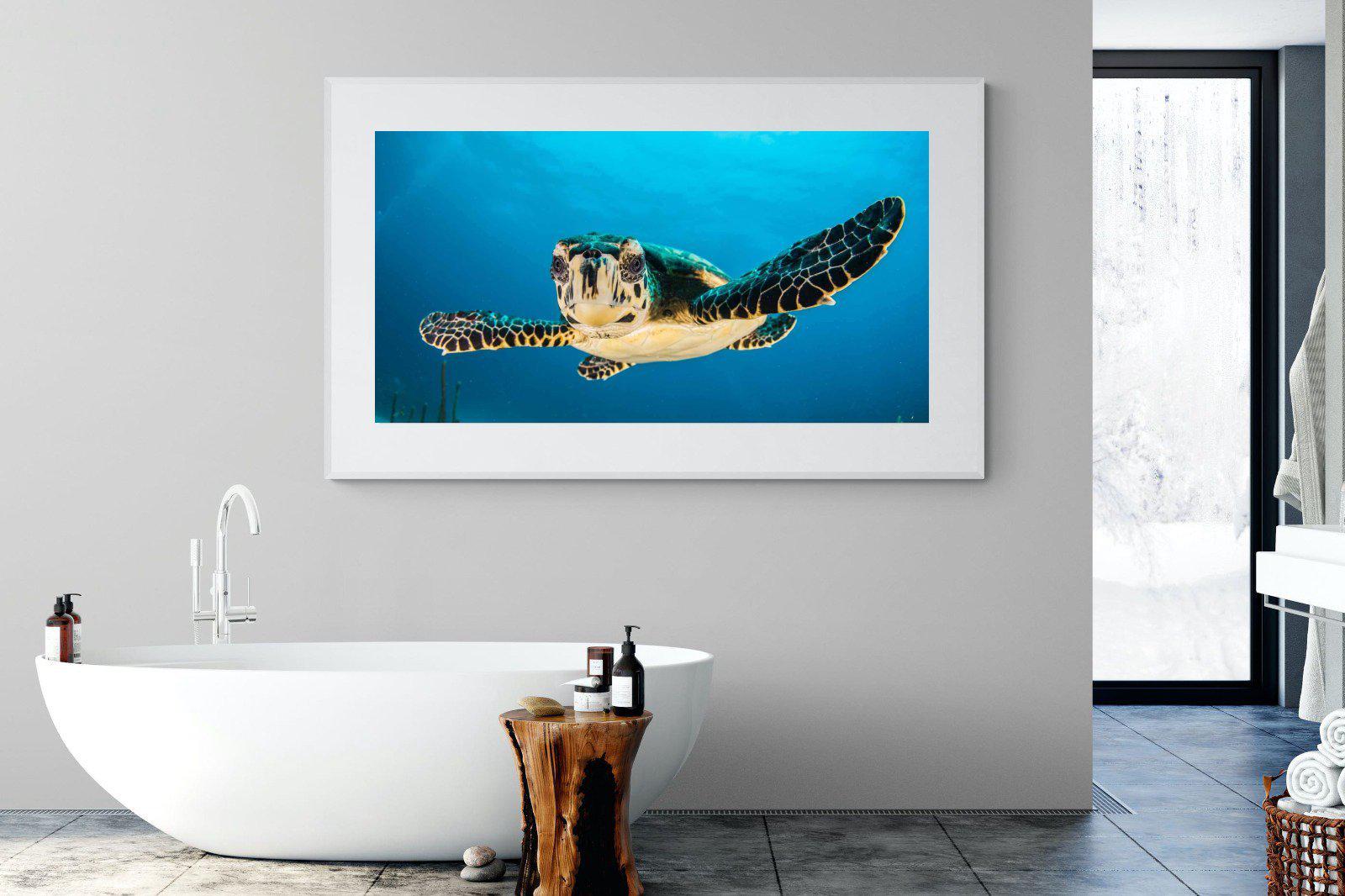 Baby Turtle-Wall_Art-180 x 110cm-Framed Print-White-Pixalot