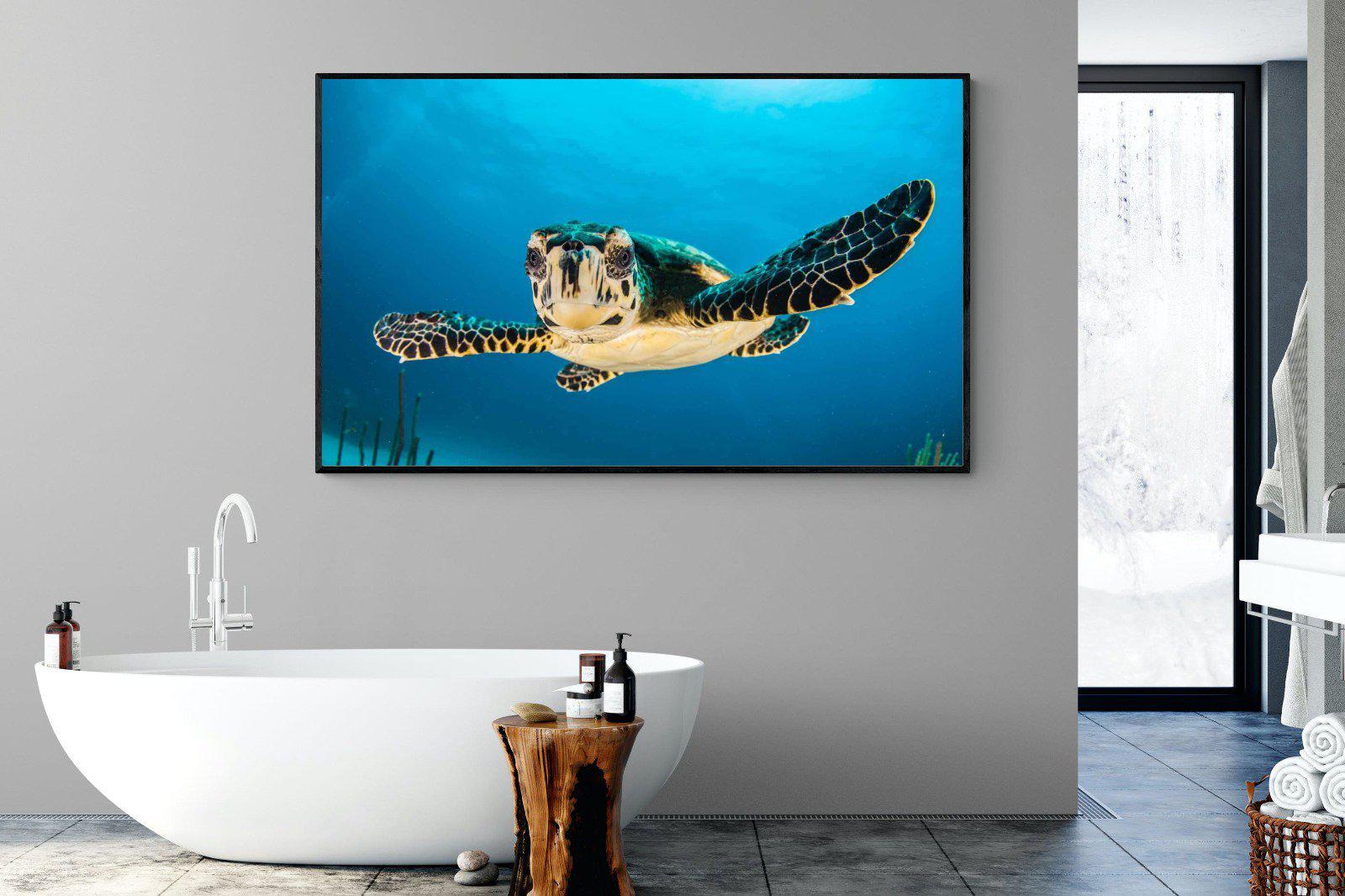 Baby Turtle-Wall_Art-180 x 110cm-Mounted Canvas-Black-Pixalot