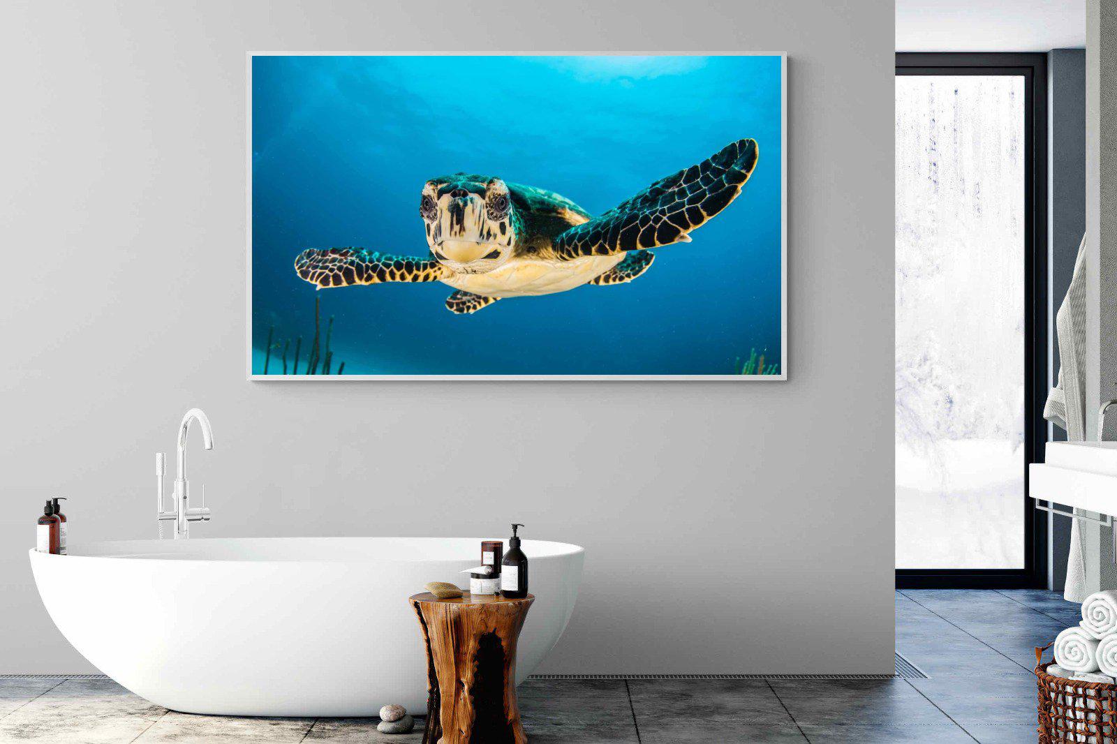 Baby Turtle-Wall_Art-180 x 110cm-Mounted Canvas-White-Pixalot