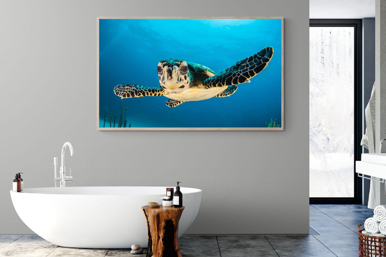 Baby Turtle-Wall_Art-180 x 110cm-Mounted Canvas-Wood-Pixalot