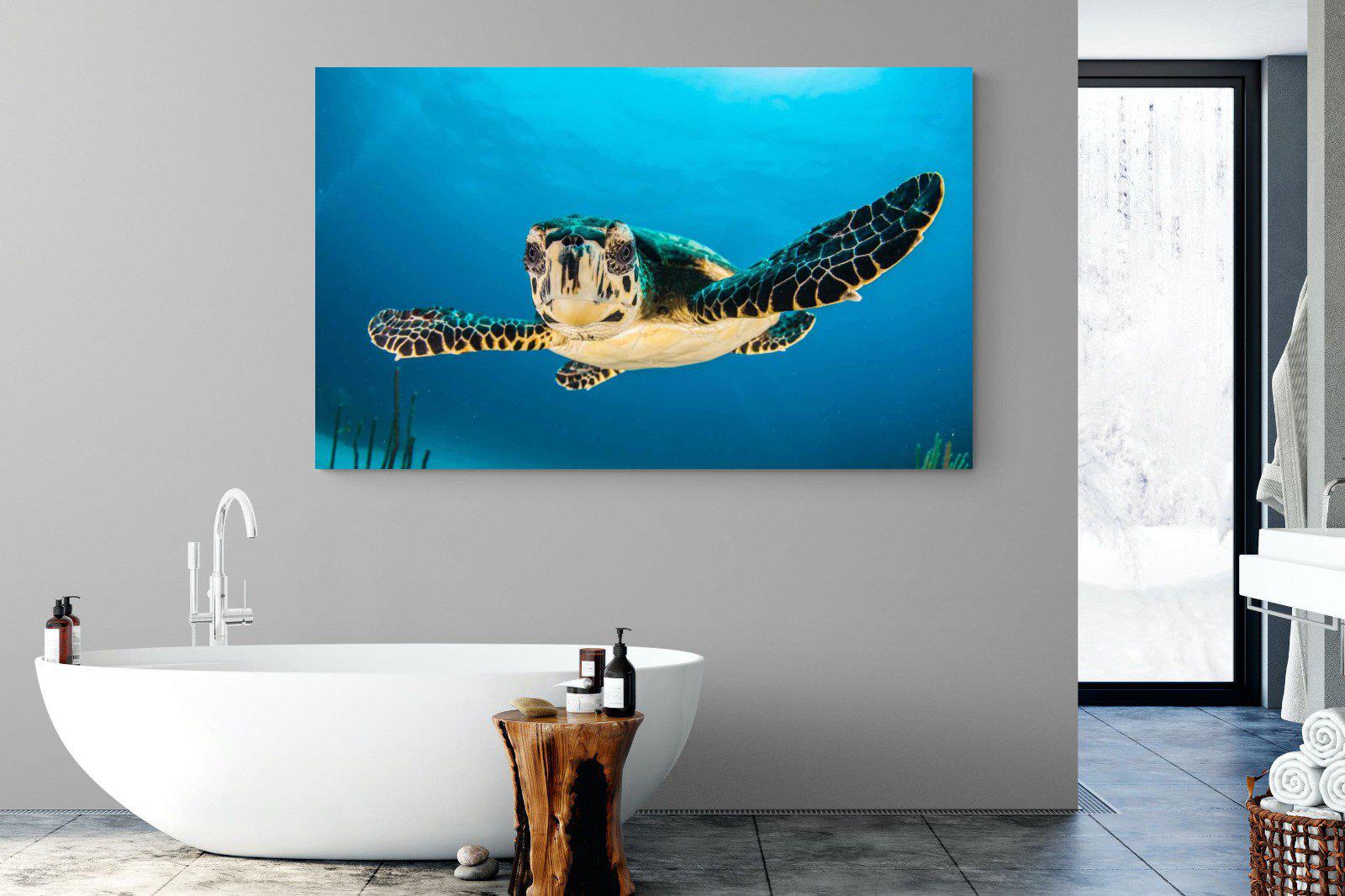 Baby Turtle-Wall_Art-180 x 110cm-Mounted Canvas-No Frame-Pixalot