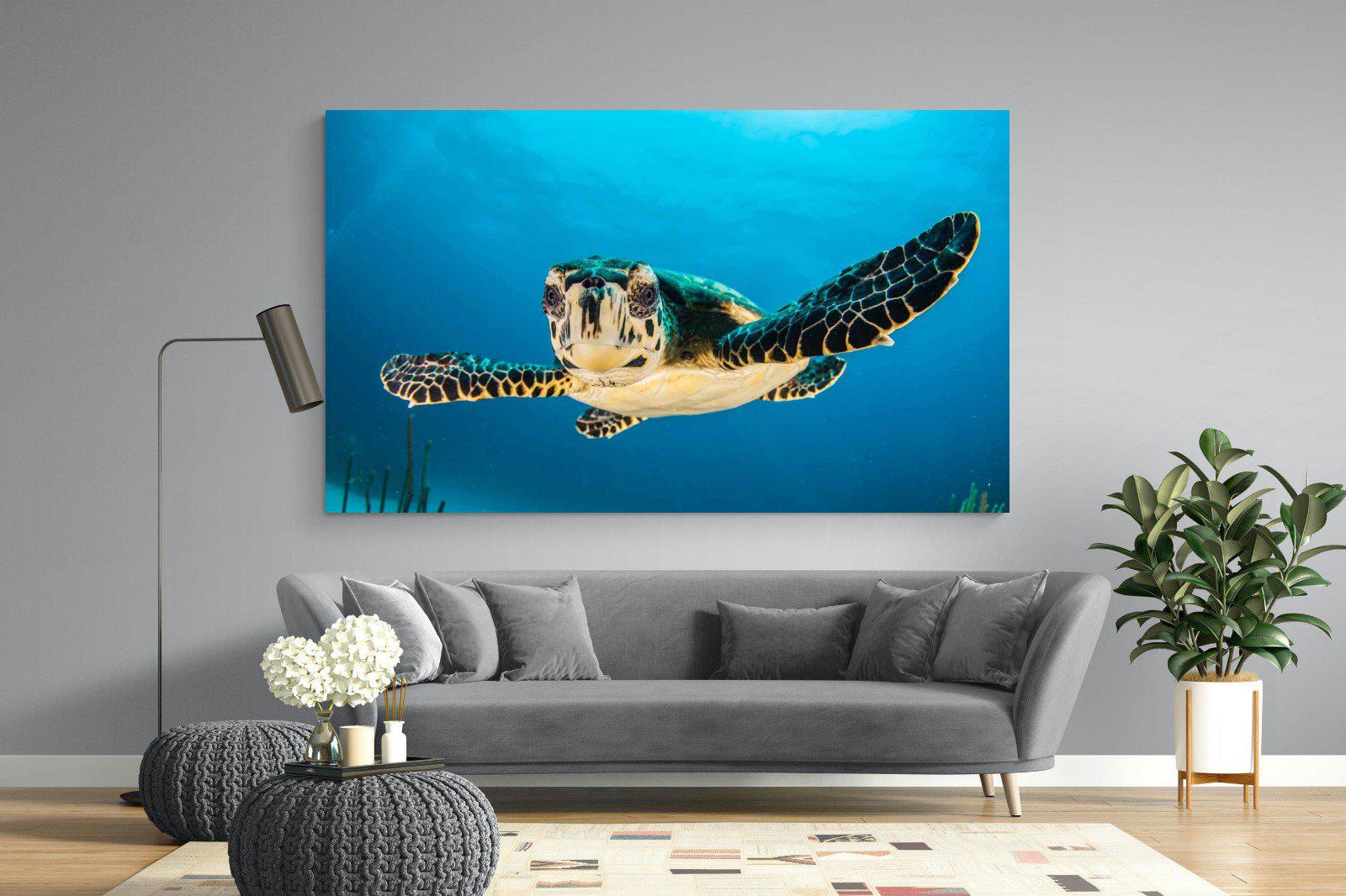 Baby Turtle-Wall_Art-220 x 130cm-Mounted Canvas-No Frame-Pixalot