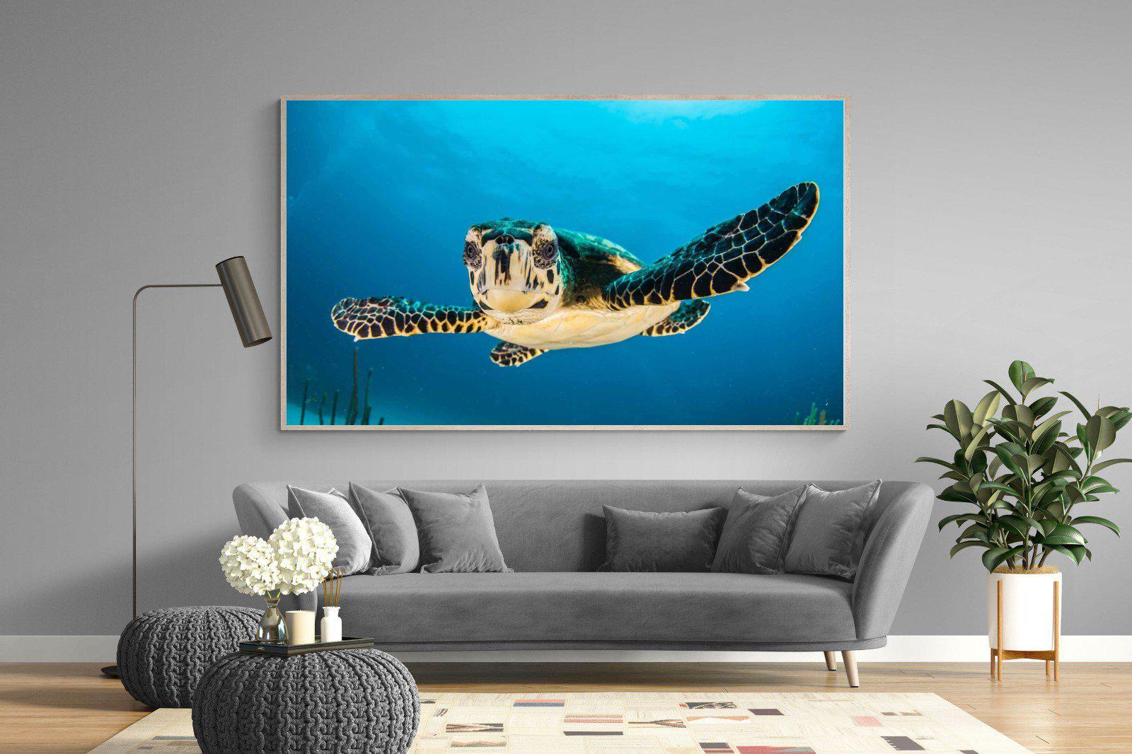 Baby Turtle-Wall_Art-220 x 130cm-Mounted Canvas-Wood-Pixalot