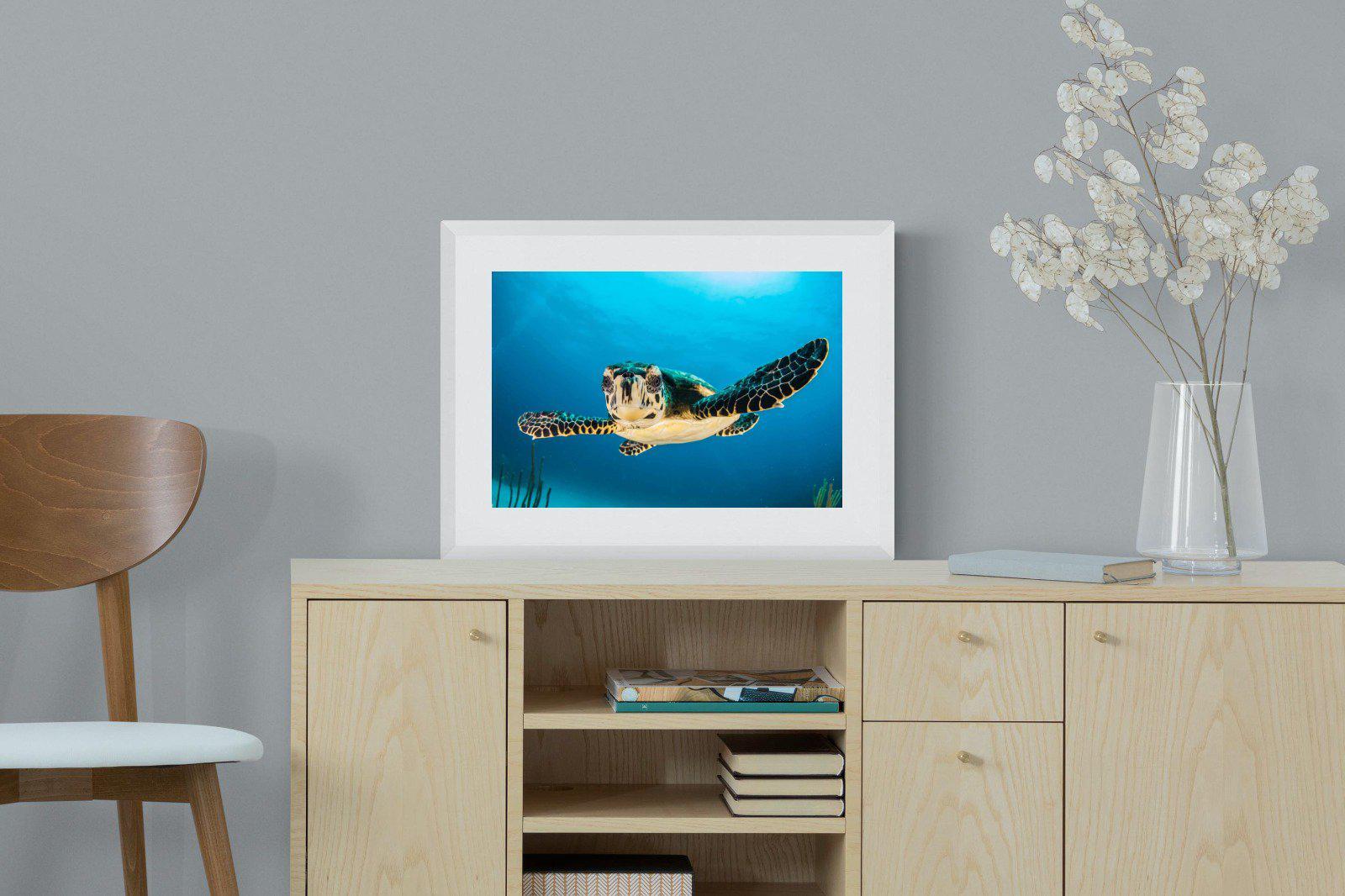 Baby Turtle-Wall_Art-60 x 45cm-Framed Print-White-Pixalot