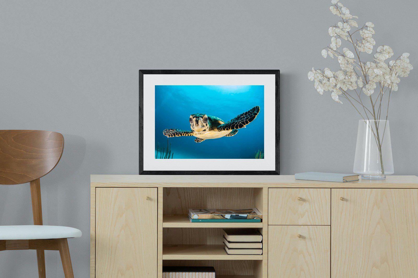 Baby Turtle-Wall_Art-60 x 45cm-Framed Print-Black-Pixalot