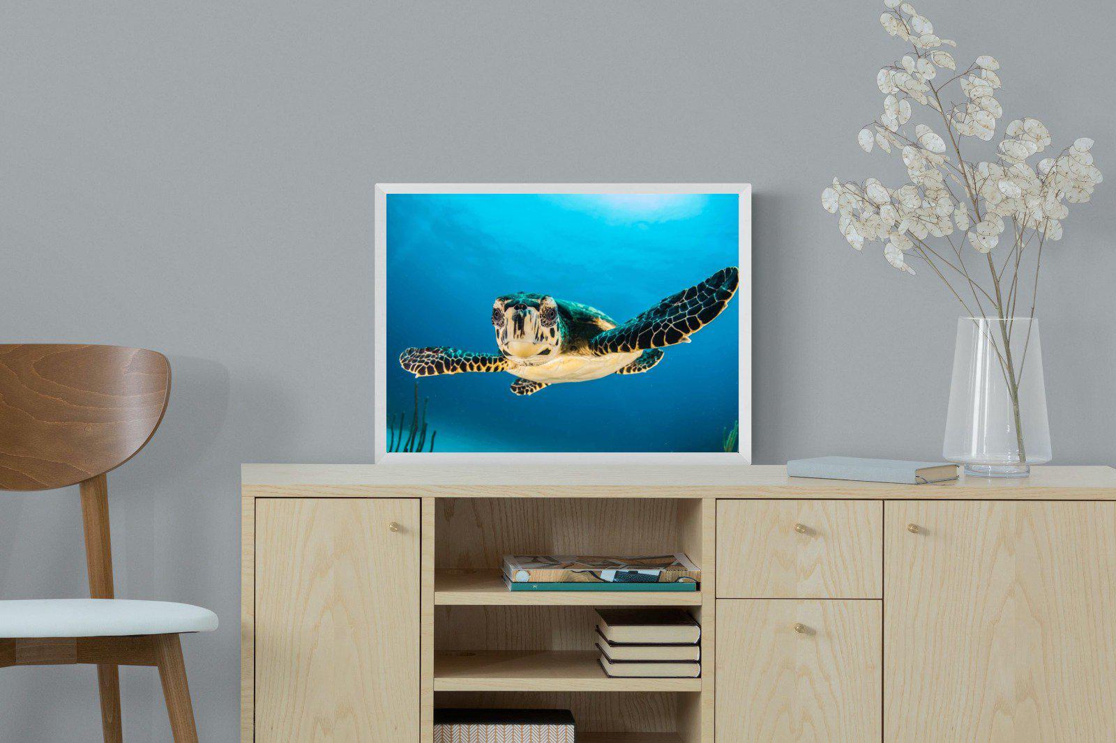 Baby Turtle-Wall_Art-60 x 45cm-Mounted Canvas-White-Pixalot