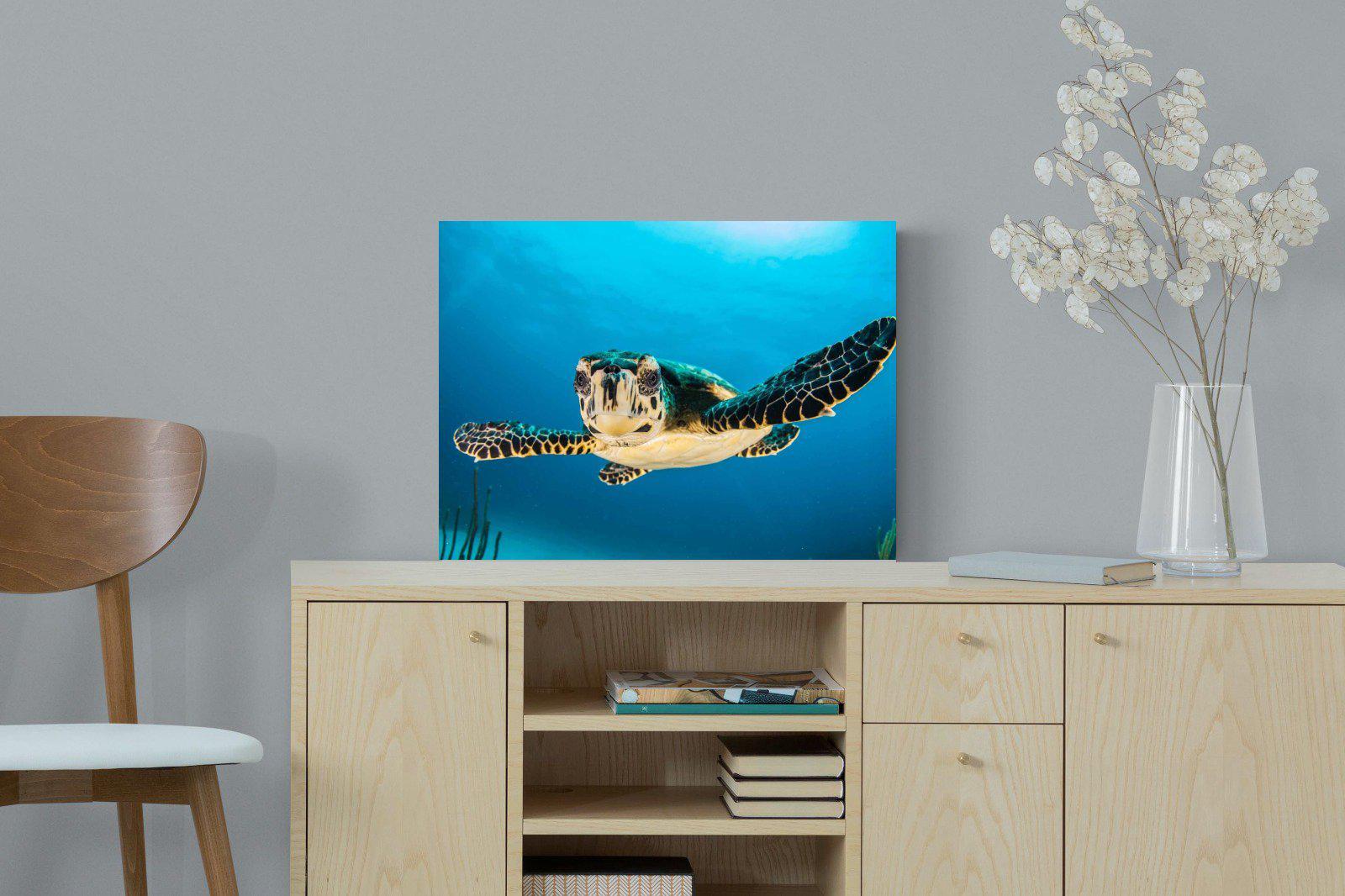 Baby Turtle-Wall_Art-60 x 45cm-Mounted Canvas-No Frame-Pixalot