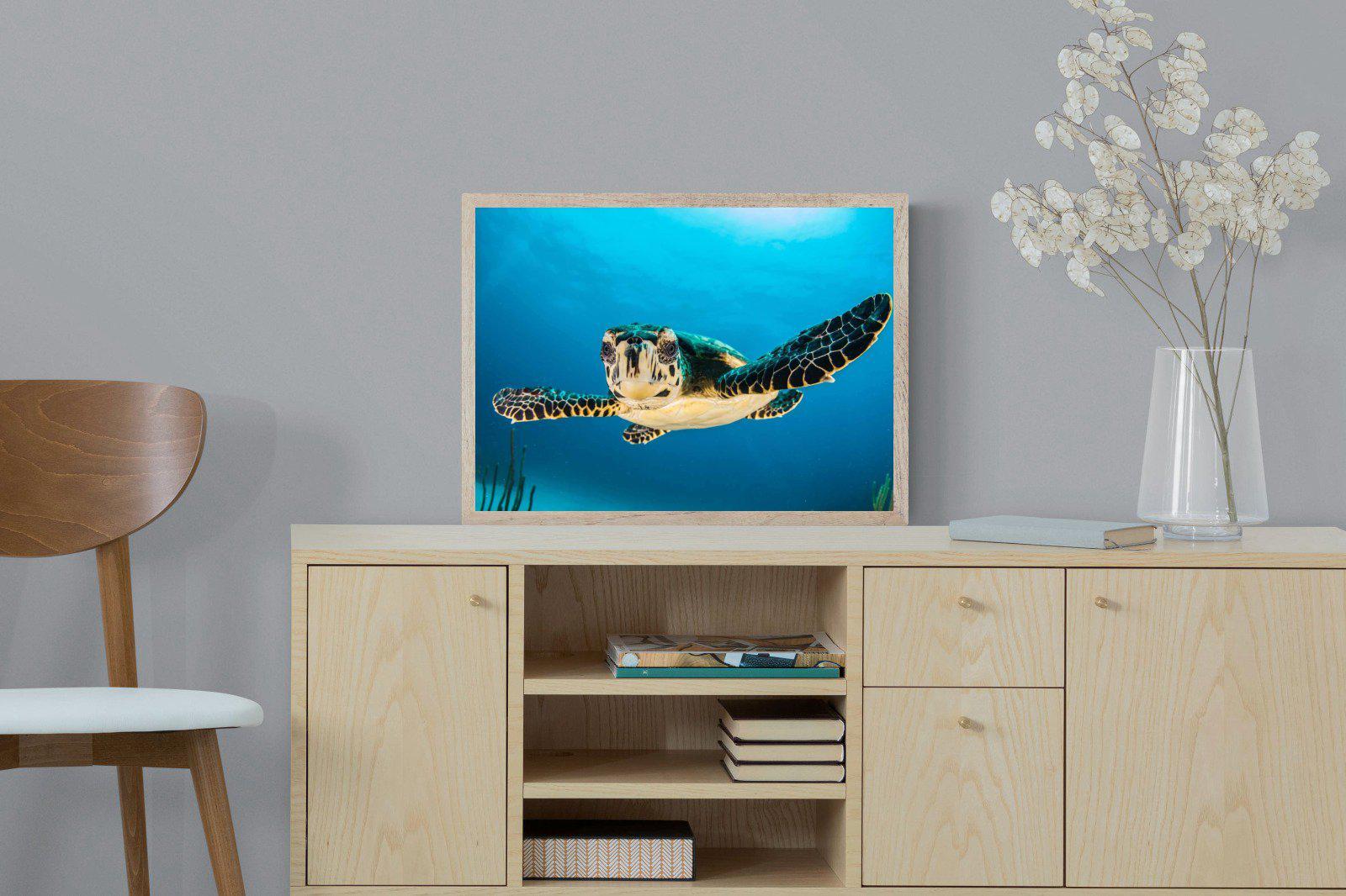 Baby Turtle-Wall_Art-60 x 45cm-Mounted Canvas-Wood-Pixalot