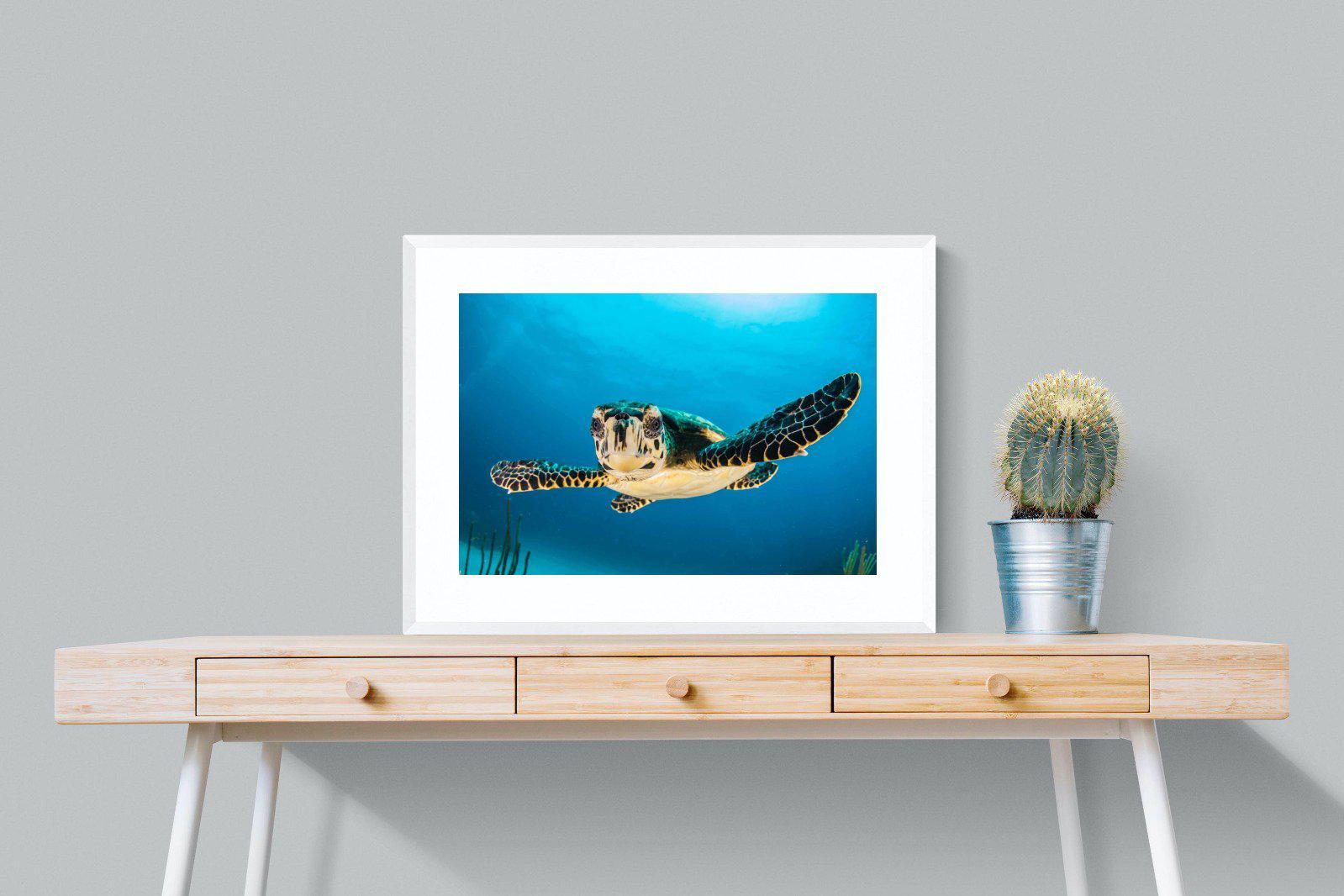 Baby Turtle-Wall_Art-80 x 60cm-Framed Print-White-Pixalot