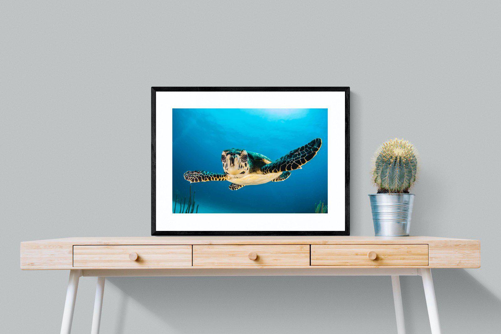 Baby Turtle-Wall_Art-80 x 60cm-Framed Print-Black-Pixalot