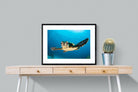 Baby Turtle-Wall_Art-80 x 60cm-Framed Print-Black-Pixalot