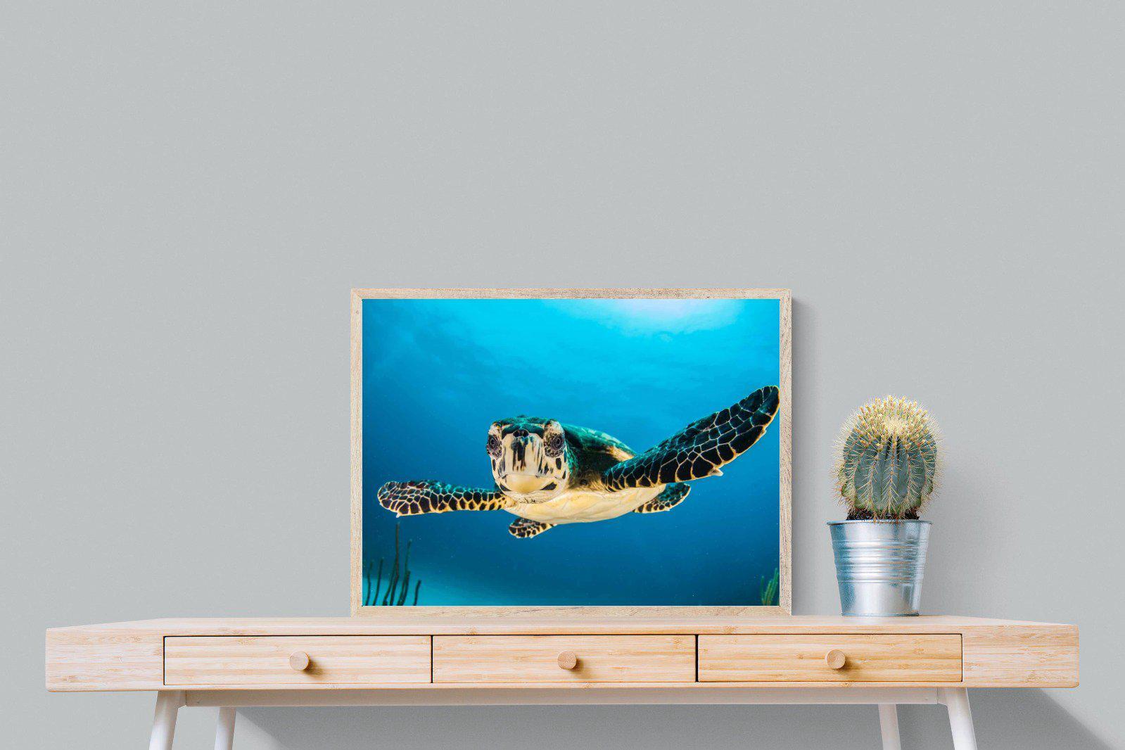 Baby Turtle-Wall_Art-80 x 60cm-Mounted Canvas-Wood-Pixalot