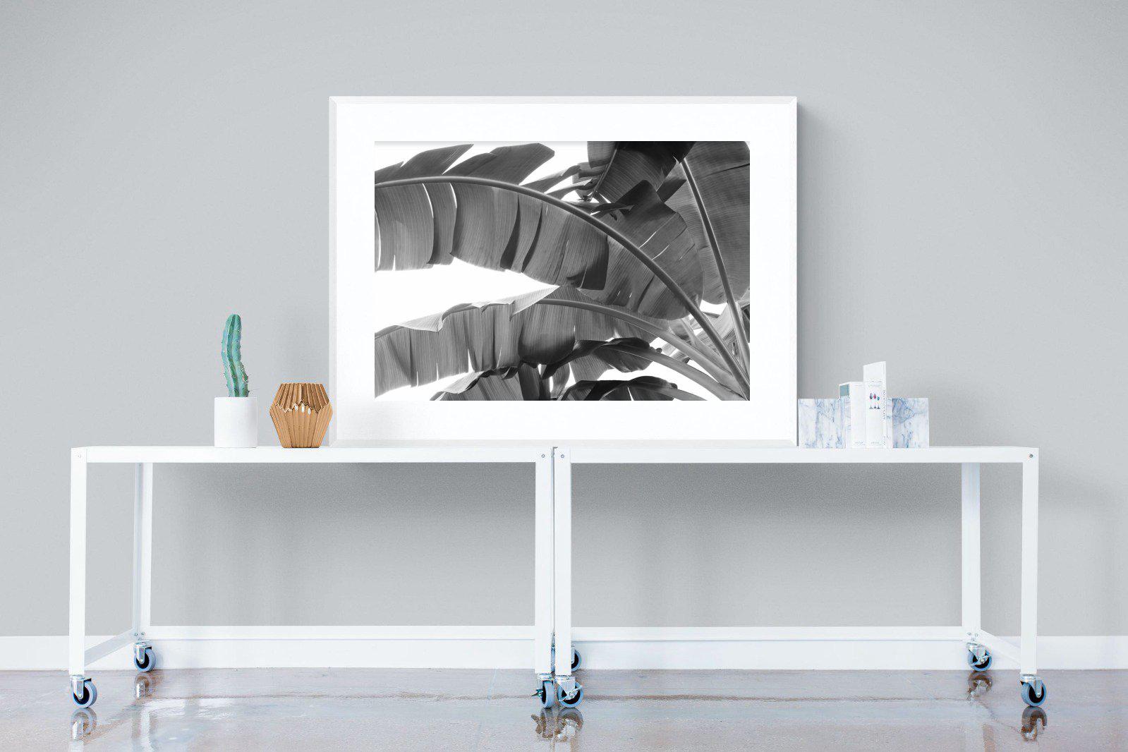 Banana Frond-Wall_Art-120 x 90cm-Framed Print-White-Pixalot