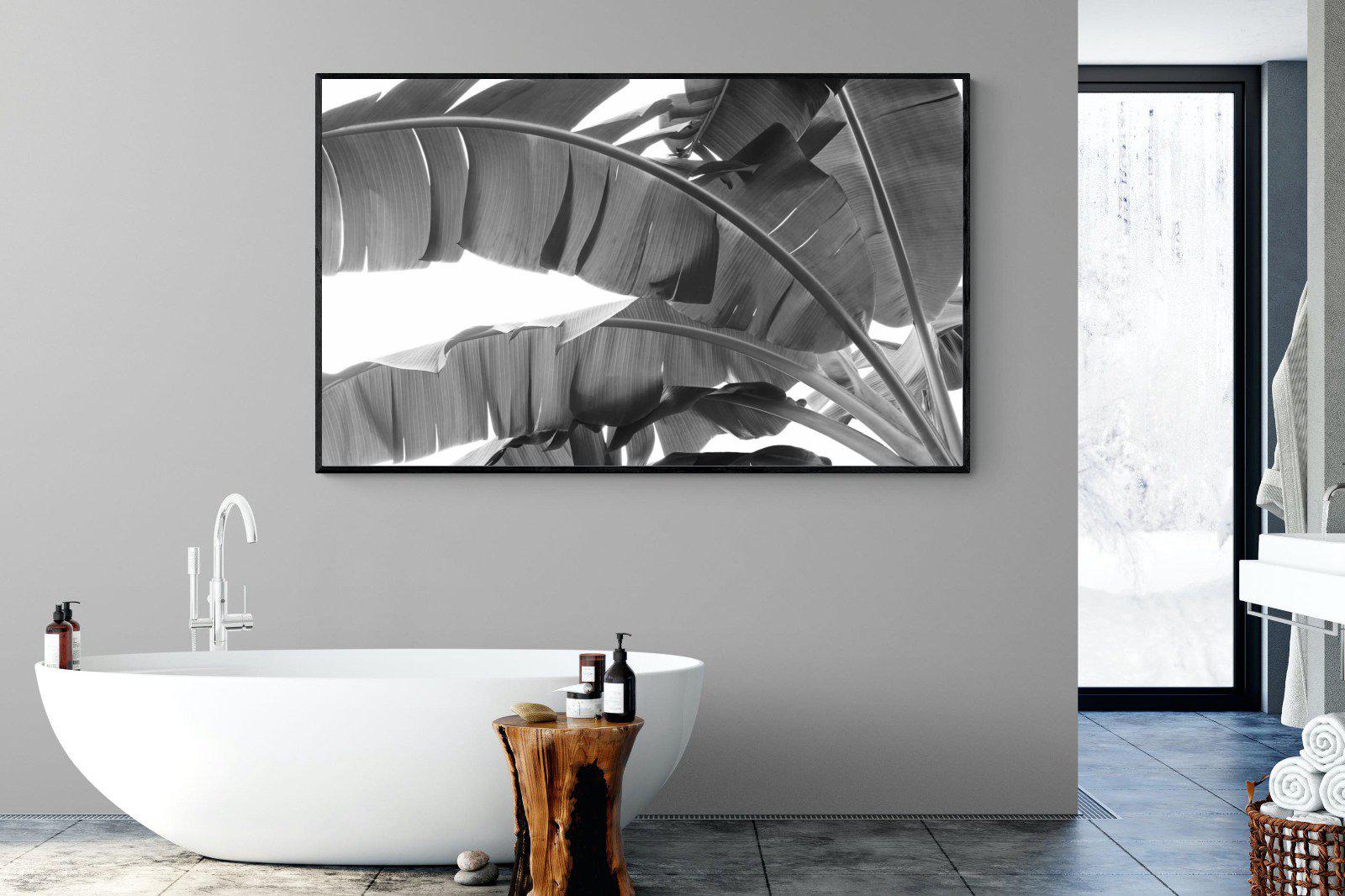Banana Frond-Wall_Art-180 x 110cm-Mounted Canvas-Black-Pixalot