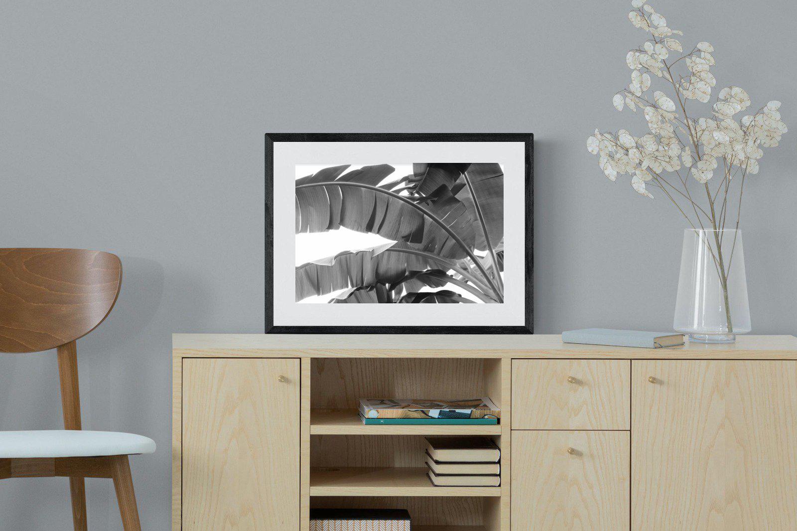 Banana Frond-Wall_Art-60 x 45cm-Framed Print-Black-Pixalot