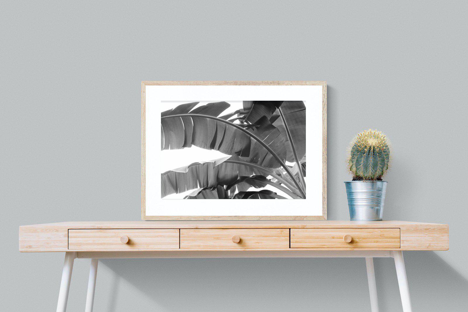 Banana Frond-Wall_Art-80 x 60cm-Framed Print-Wood-Pixalot