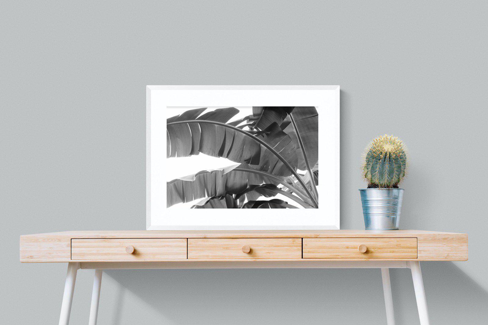 Banana Frond-Wall_Art-80 x 60cm-Framed Print-White-Pixalot