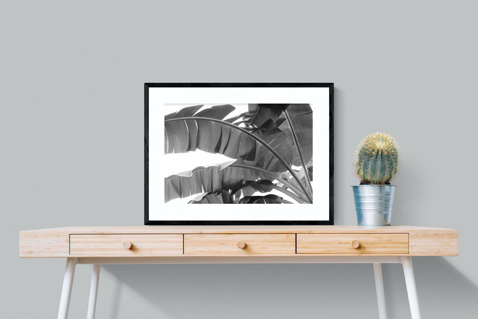 Banana Frond-Wall_Art-80 x 60cm-Framed Print-Black-Pixalot