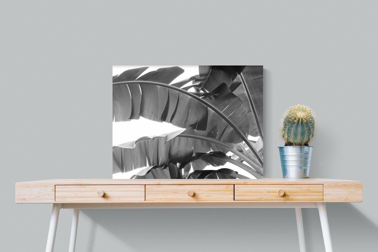 Banana Frond-Wall_Art-80 x 60cm-Mounted Canvas-No Frame-Pixalot