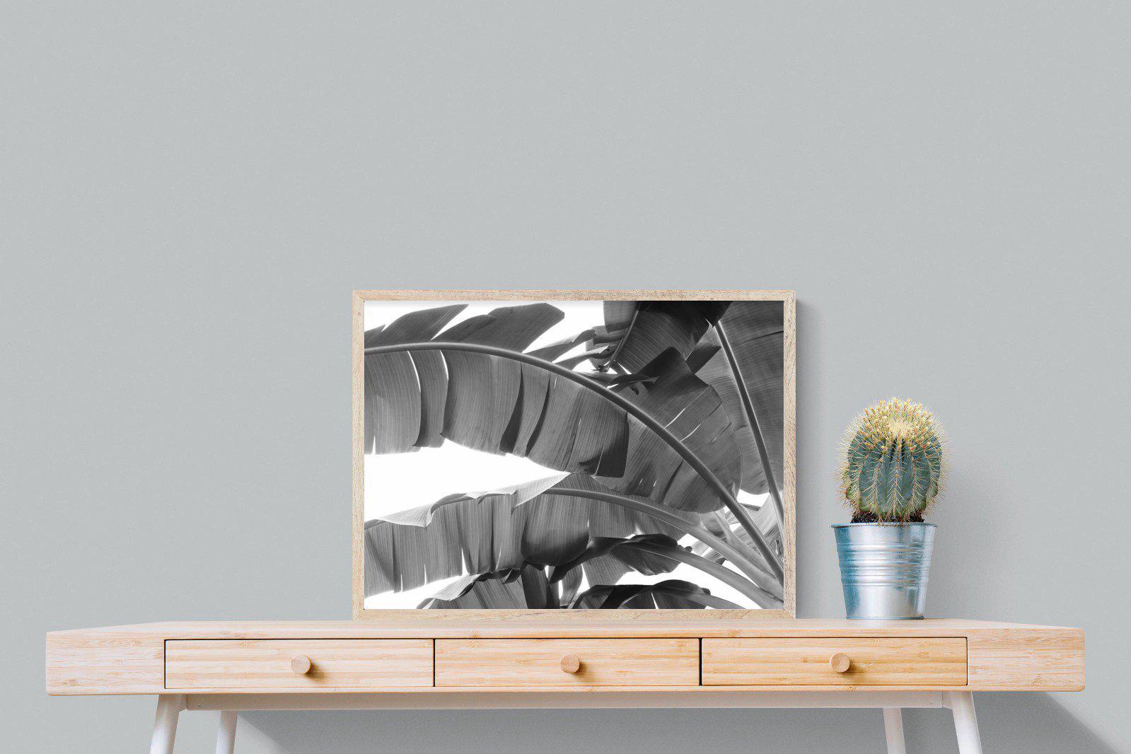 Banana Frond-Wall_Art-80 x 60cm-Mounted Canvas-Wood-Pixalot