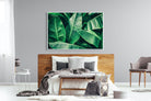 Banana Leaves-Wall_Art-150 x 100cm-Mounted Canvas-White-Pixalot