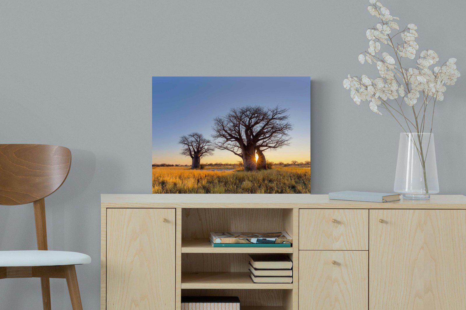 Baobab-Wall_Art-60 x 45cm-Mounted Canvas-No Frame-Pixalot