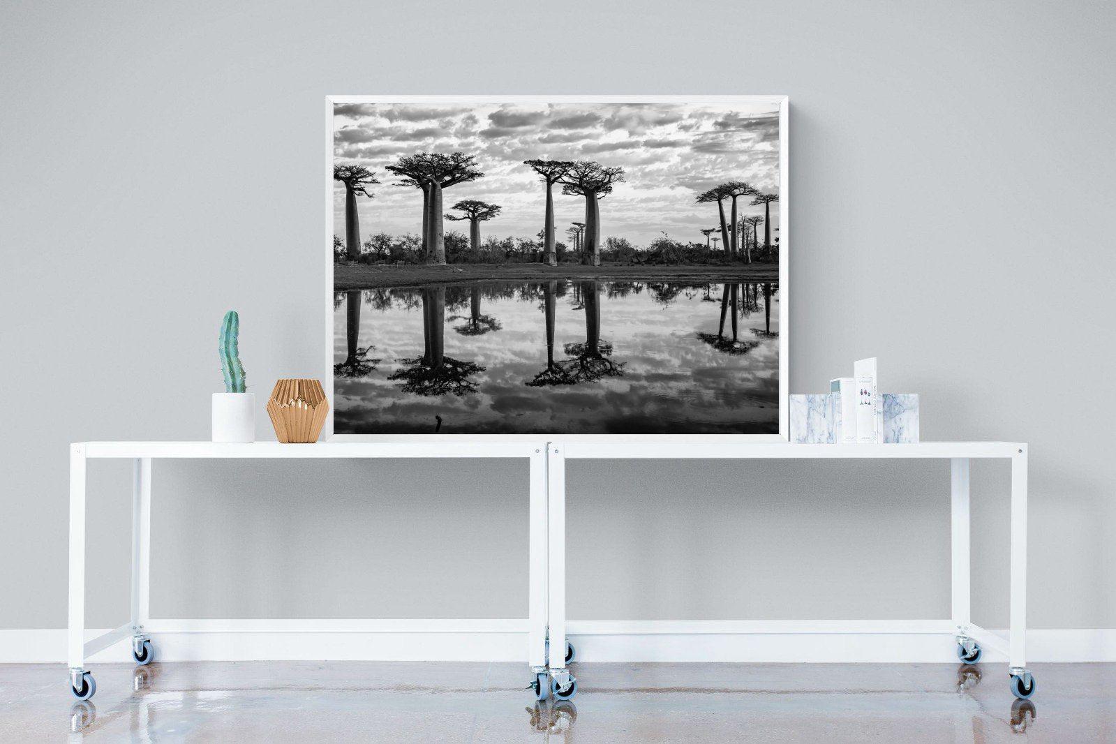 Baobab Trees-Wall_Art-120 x 90cm-Mounted Canvas-White-Pixalot