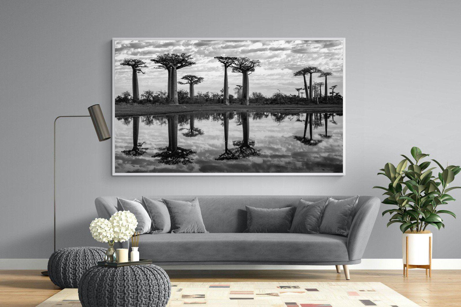 Baobab Trees-Wall_Art-220 x 130cm-Mounted Canvas-White-Pixalot