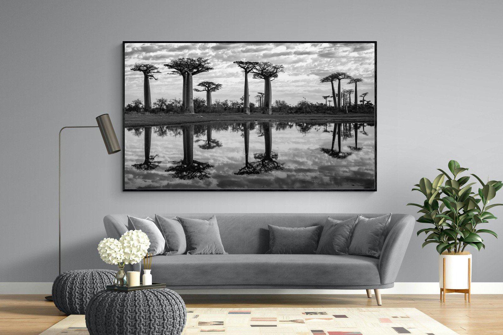 Baobab Trees-Wall_Art-220 x 130cm-Mounted Canvas-Black-Pixalot