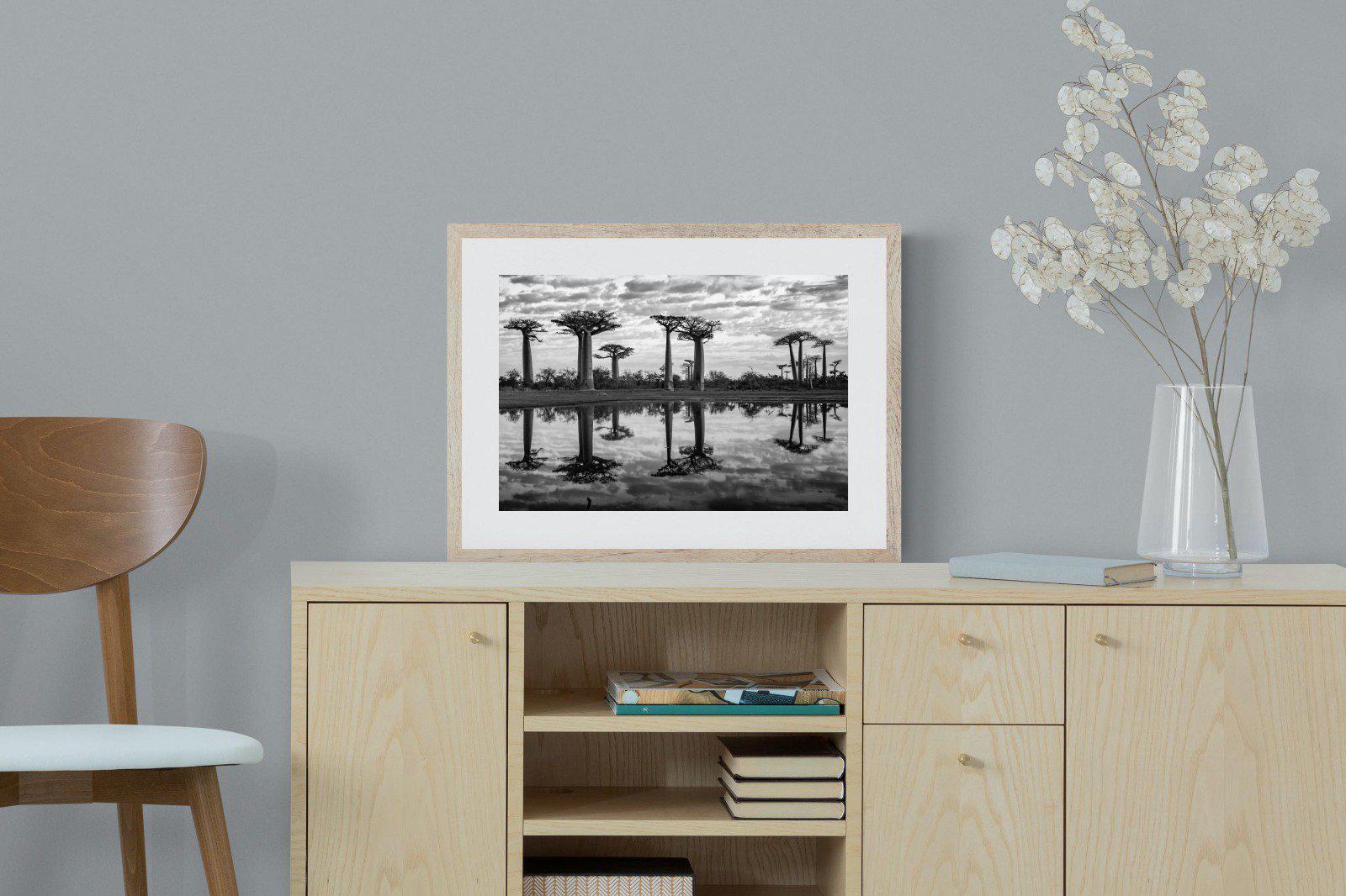 Baobab Trees-Wall_Art-60 x 45cm-Framed Print-Wood-Pixalot