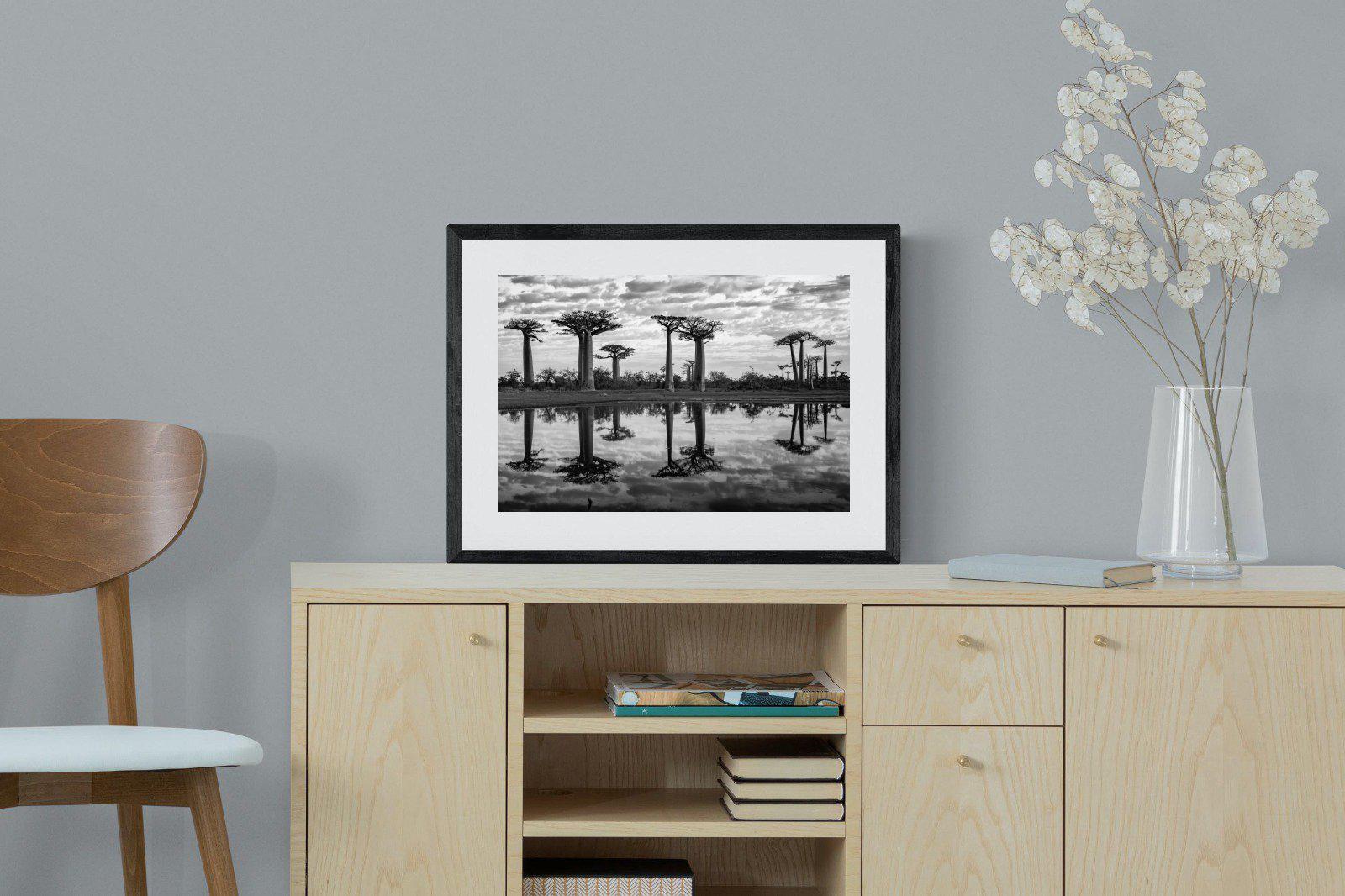Baobab Trees-Wall_Art-60 x 45cm-Framed Print-Black-Pixalot