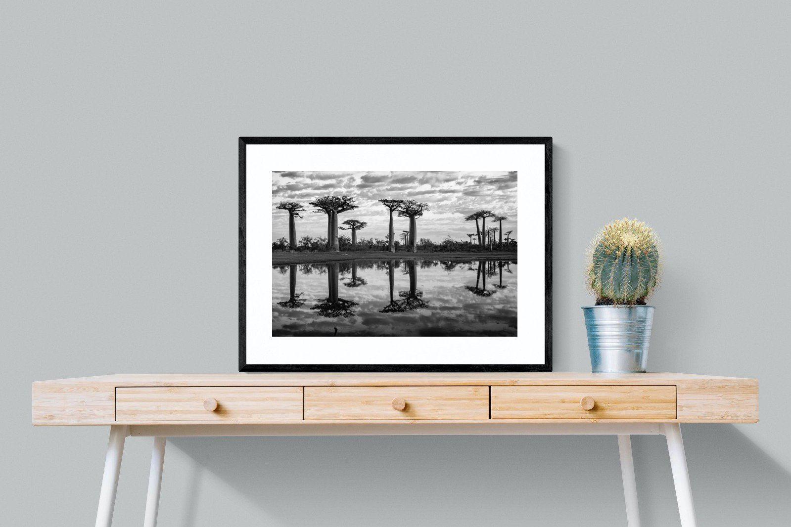 Baobab Trees-Wall_Art-80 x 60cm-Framed Print-Black-Pixalot
