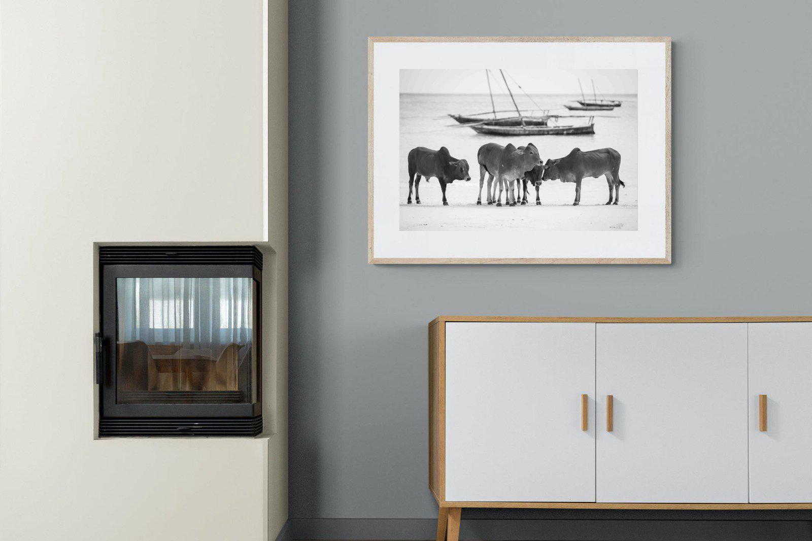 Beach Cattle-Wall_Art-100 x 75cm-Framed Print-Wood-Pixalot