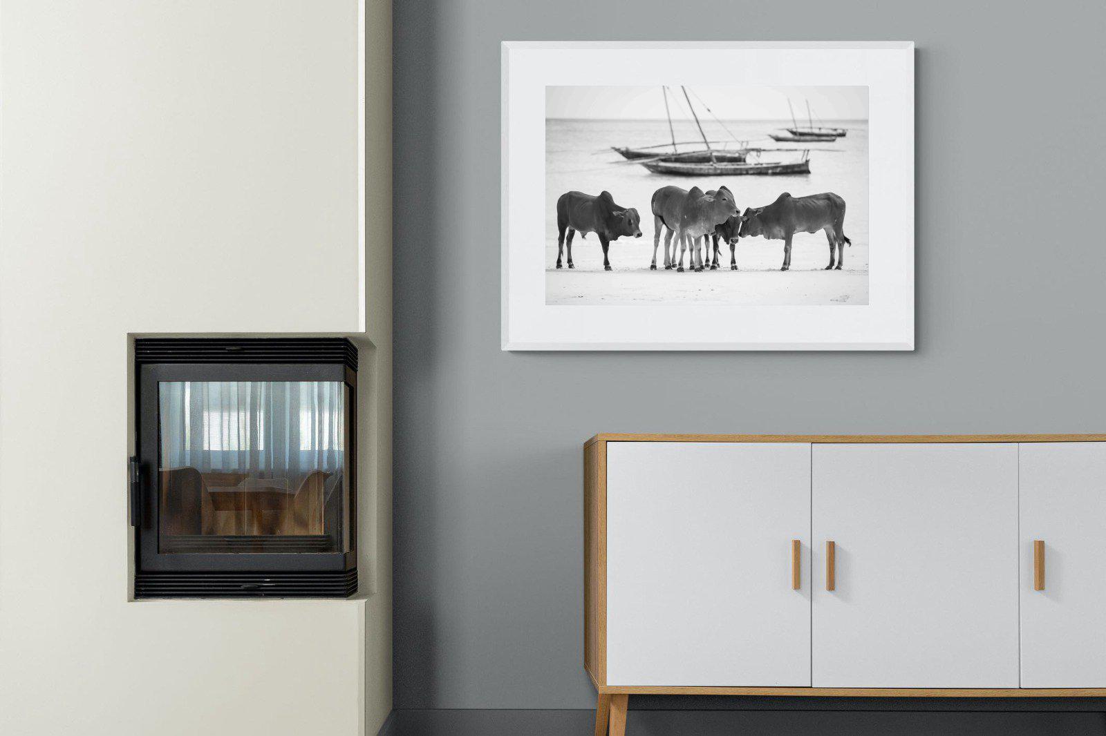Beach Cattle-Wall_Art-100 x 75cm-Framed Print-White-Pixalot