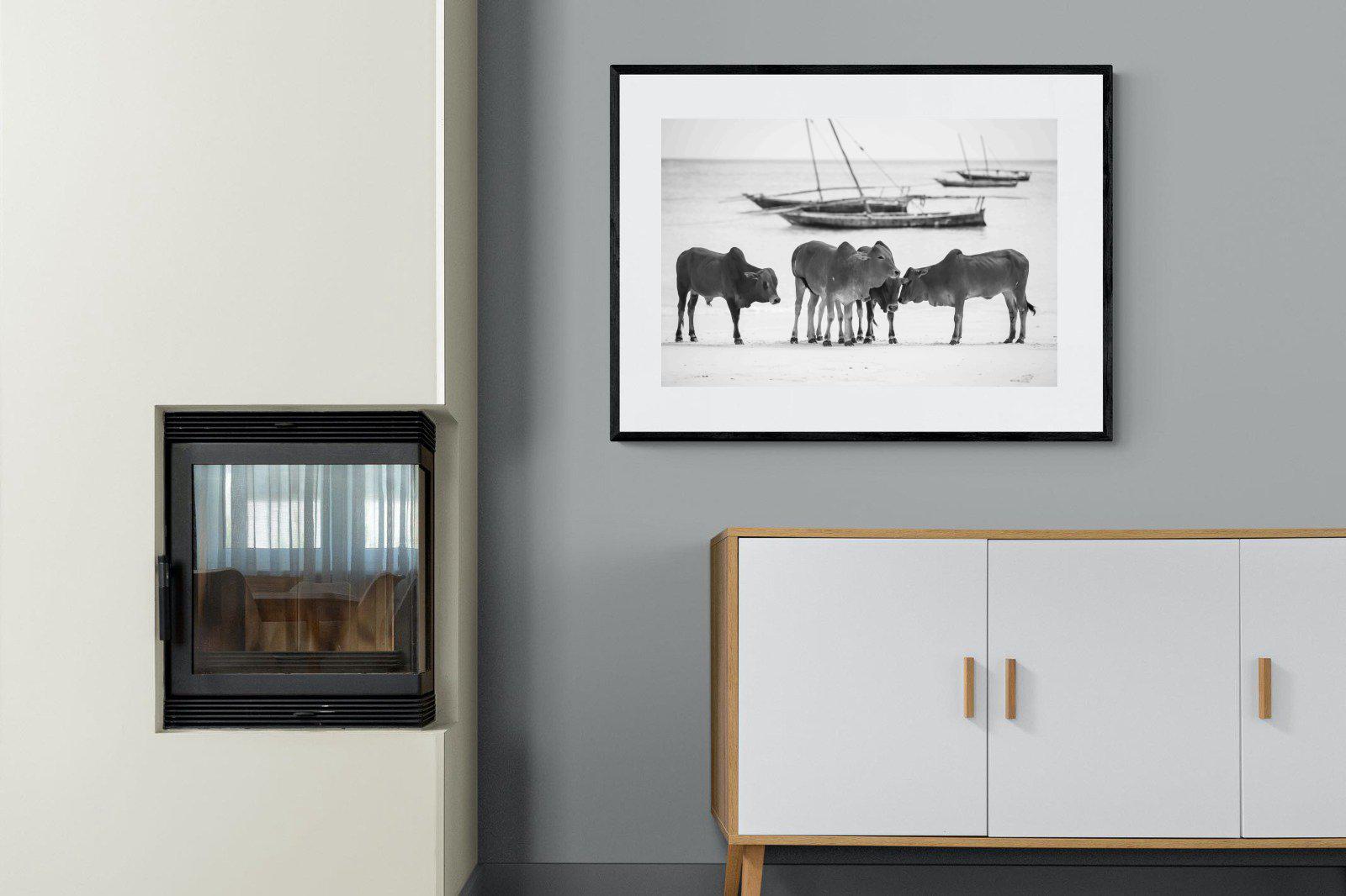 Beach Cattle-Wall_Art-100 x 75cm-Framed Print-Black-Pixalot