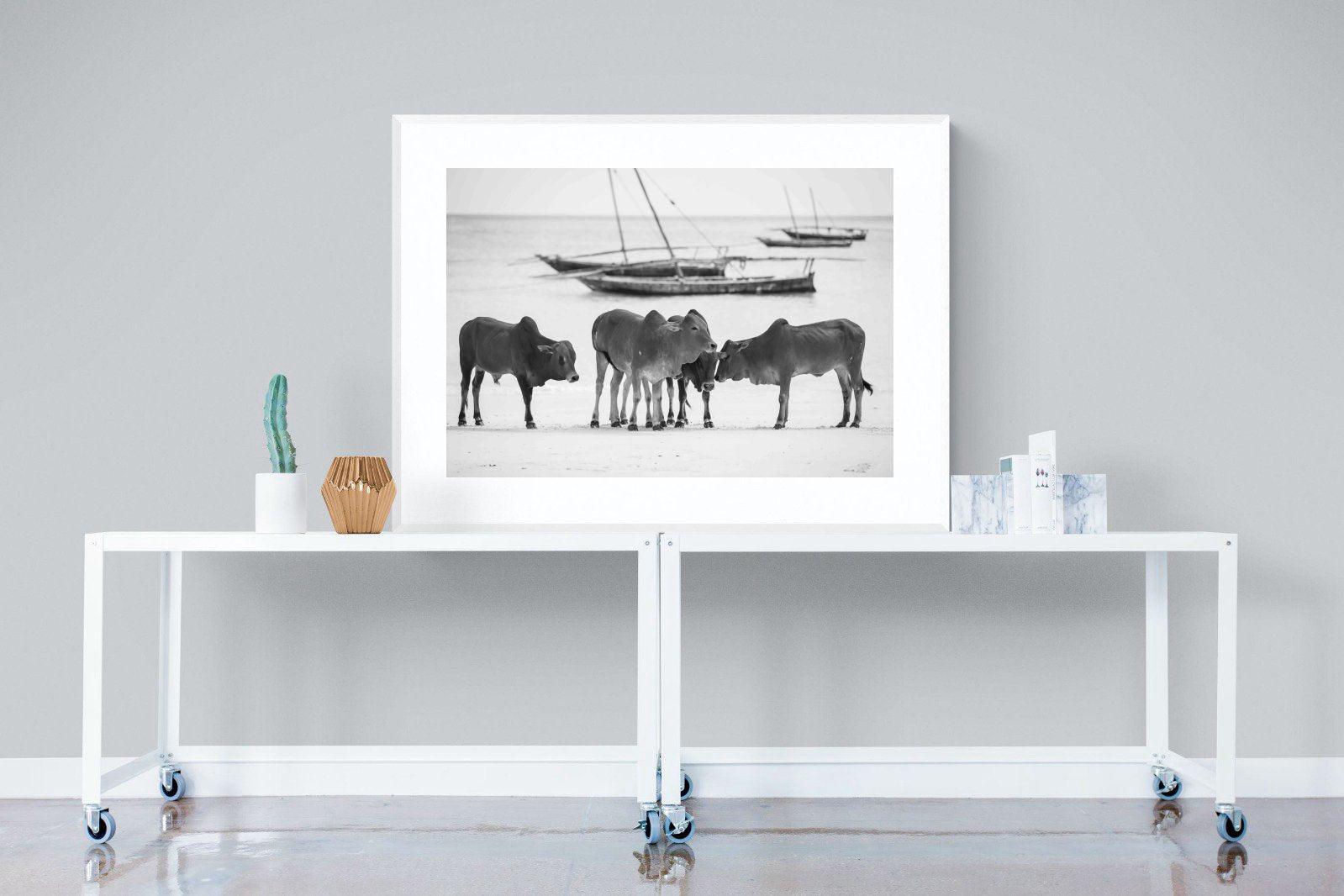 Beach Cattle-Wall_Art-120 x 90cm-Framed Print-White-Pixalot