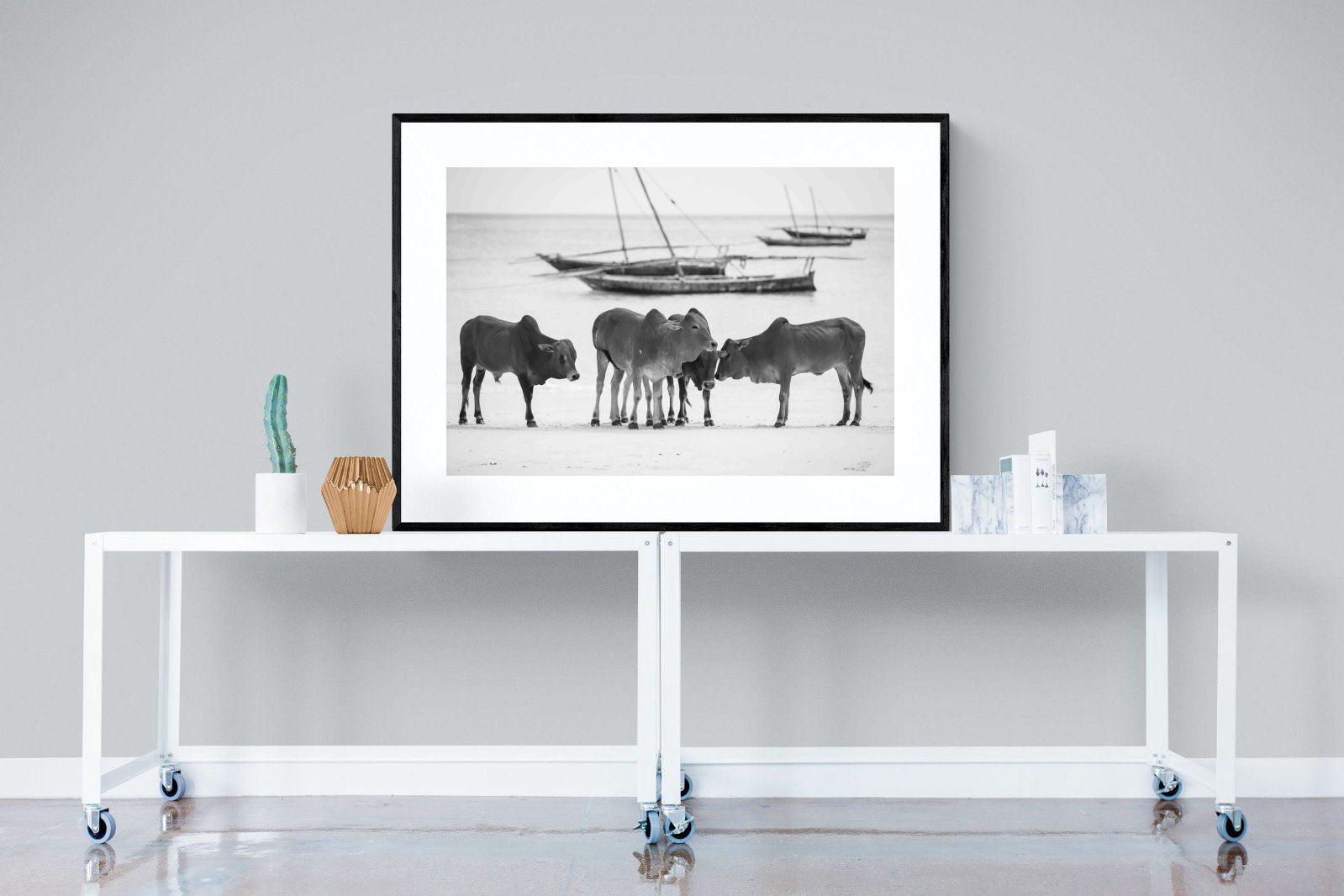 Beach Cattle-Wall_Art-120 x 90cm-Framed Print-Black-Pixalot