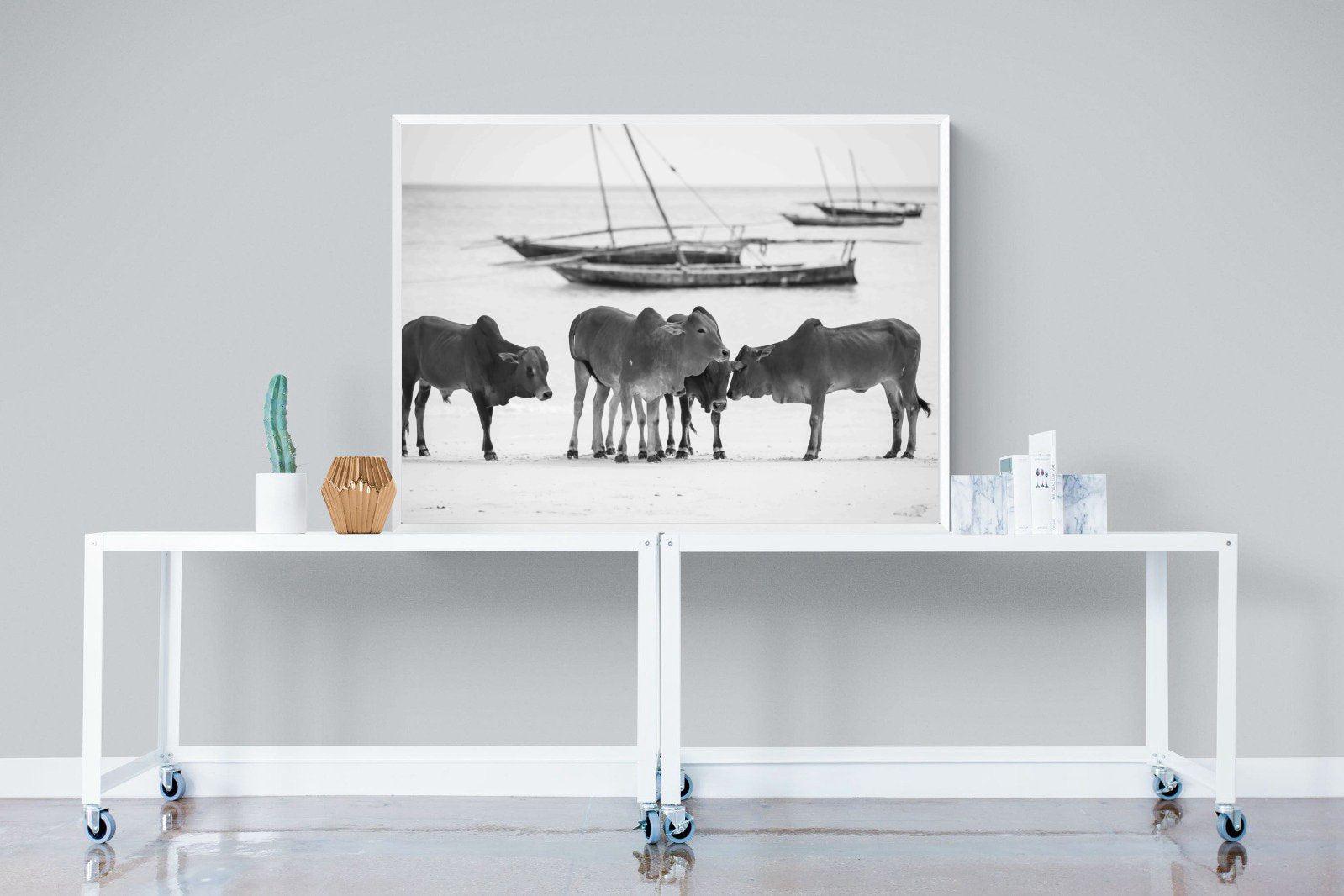 Beach Cattle-Wall_Art-120 x 90cm-Mounted Canvas-White-Pixalot